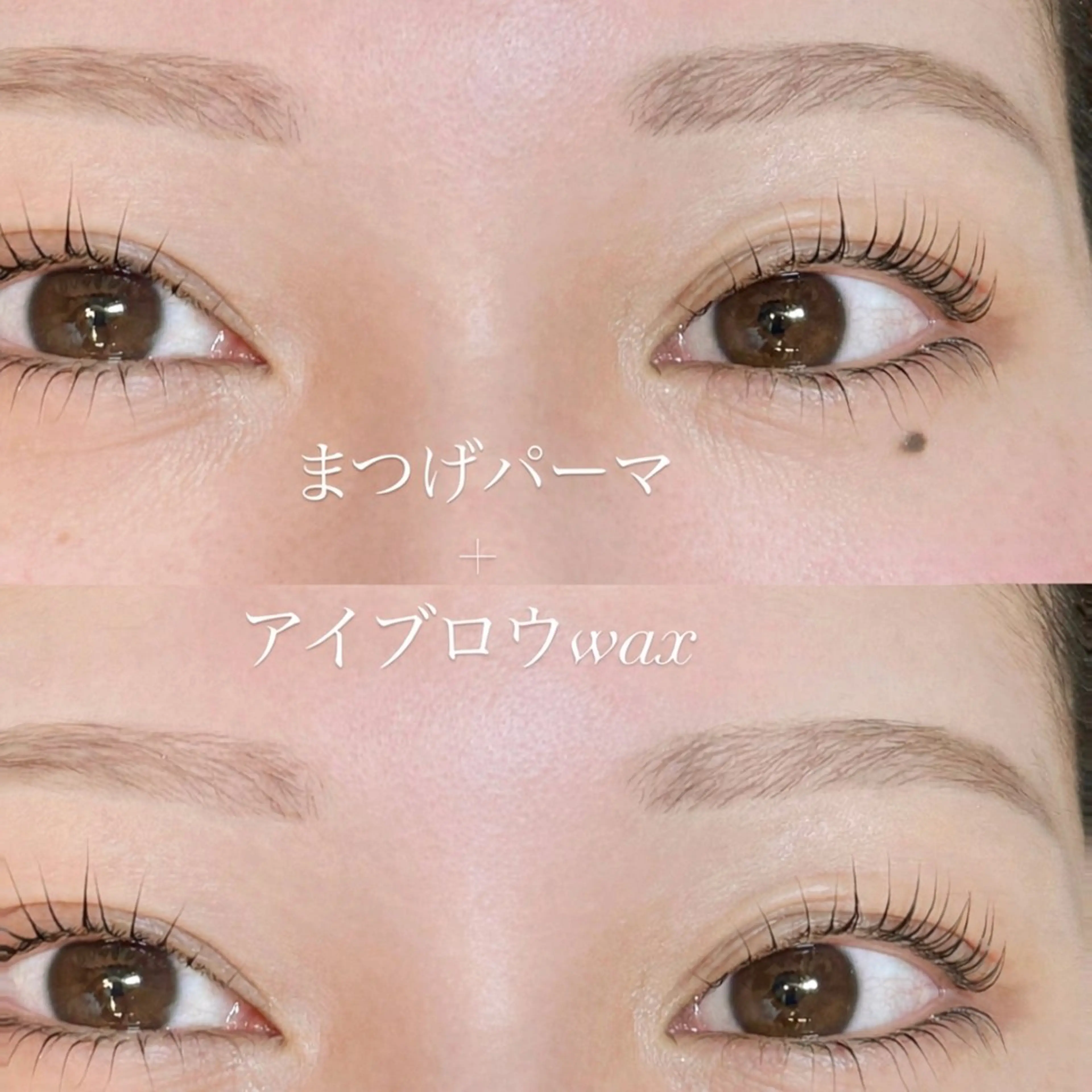 【新規】まつげパーマ+アイブロウセットの写真