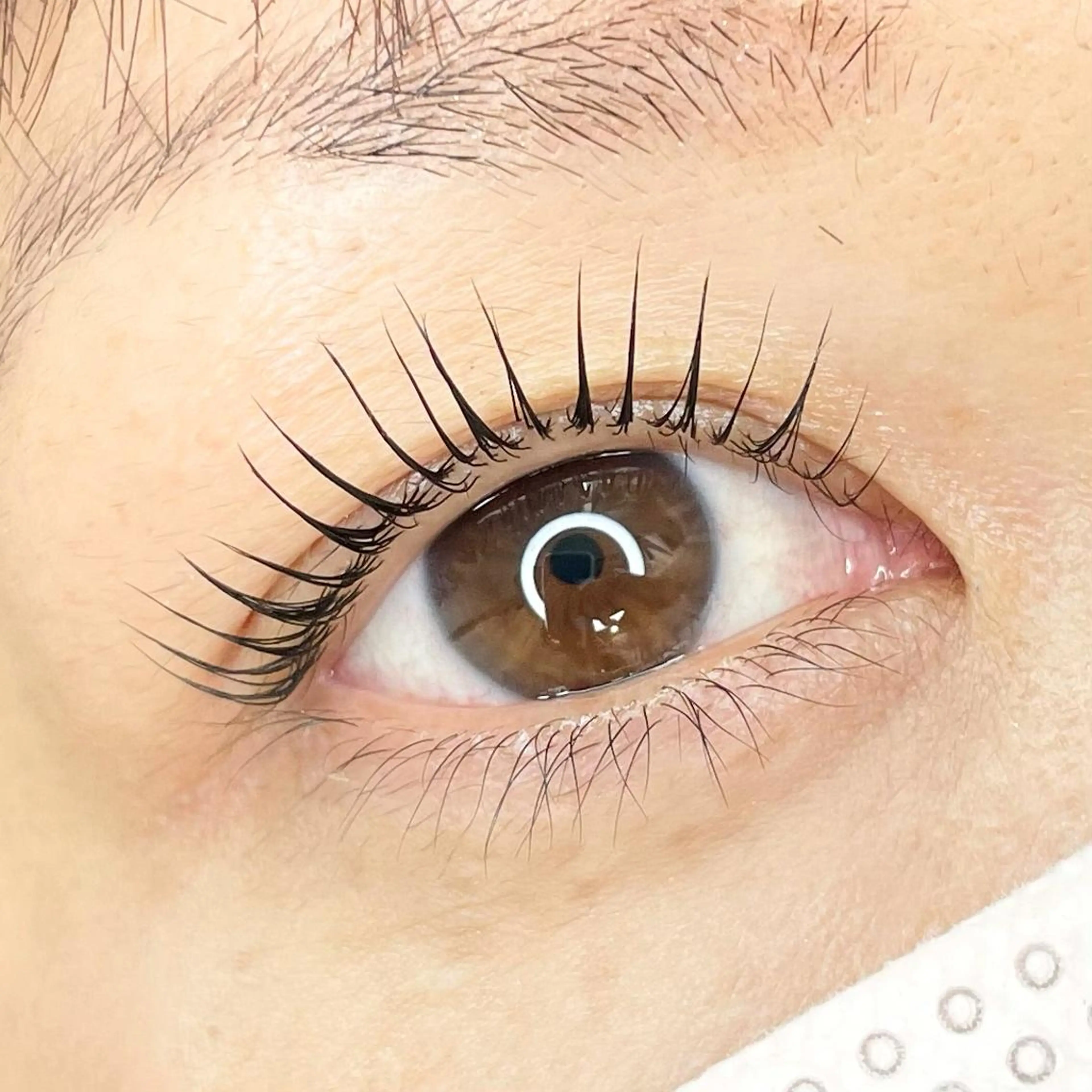 マツエク・マツパ パリジェンヌラッシュリフト cache 【カシェ】所属・cache / SAKIの眉毛・アイブロウイメージ