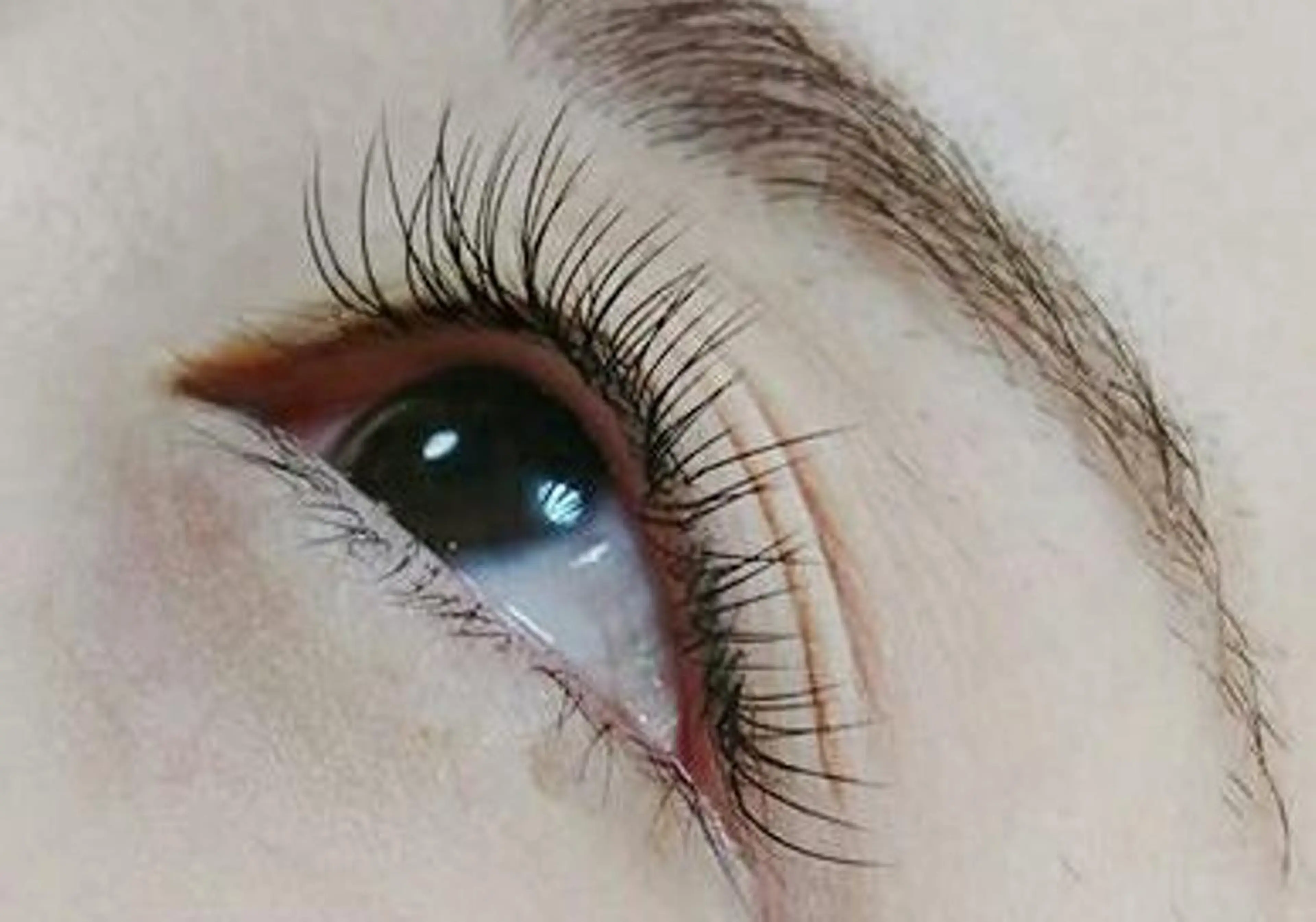 マツエク・マツパ ナチュラル アネラ 北本店のマツエク・マツパデザイン