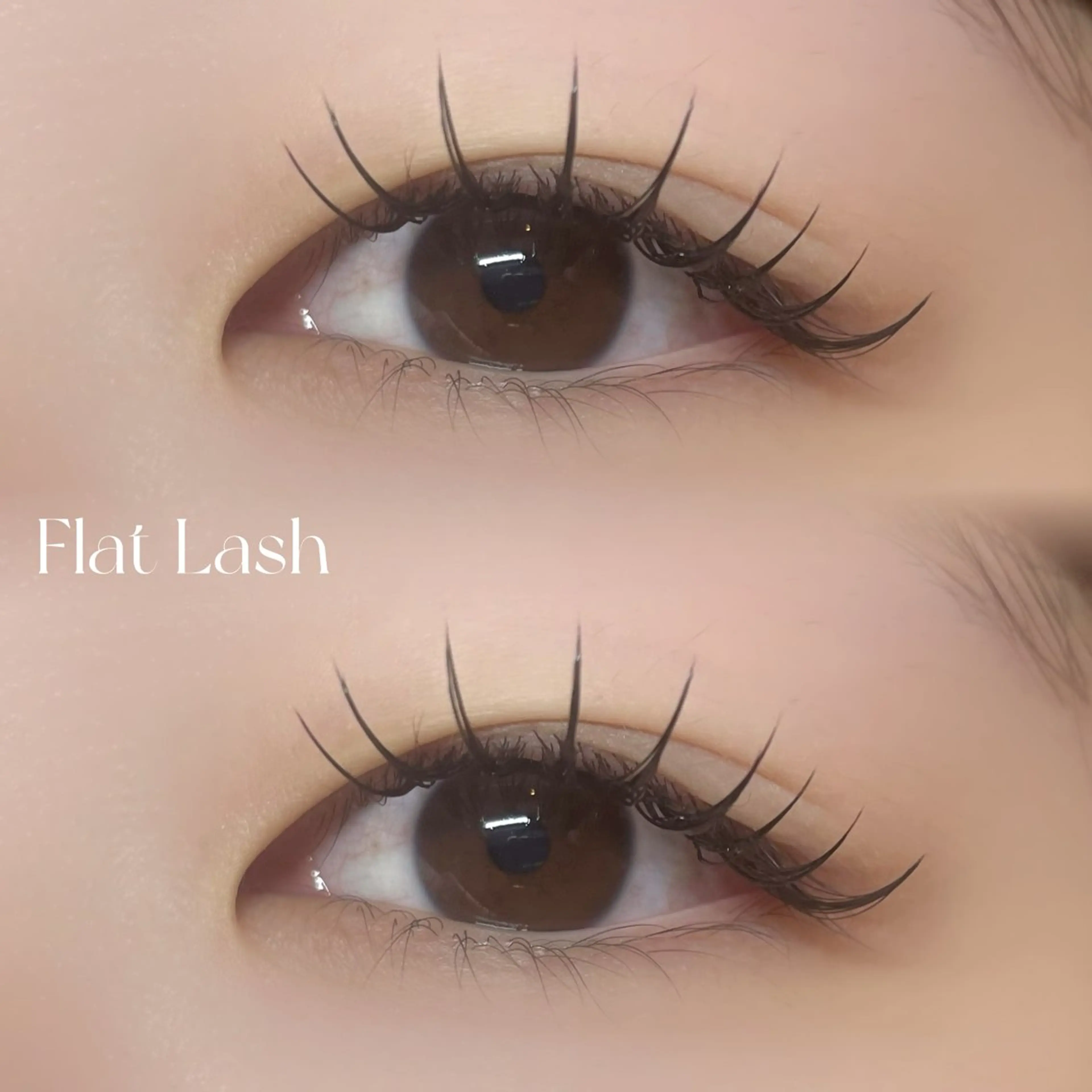 【最高級エクステ🏹】フラットラッシュ120~140本🪽の写真