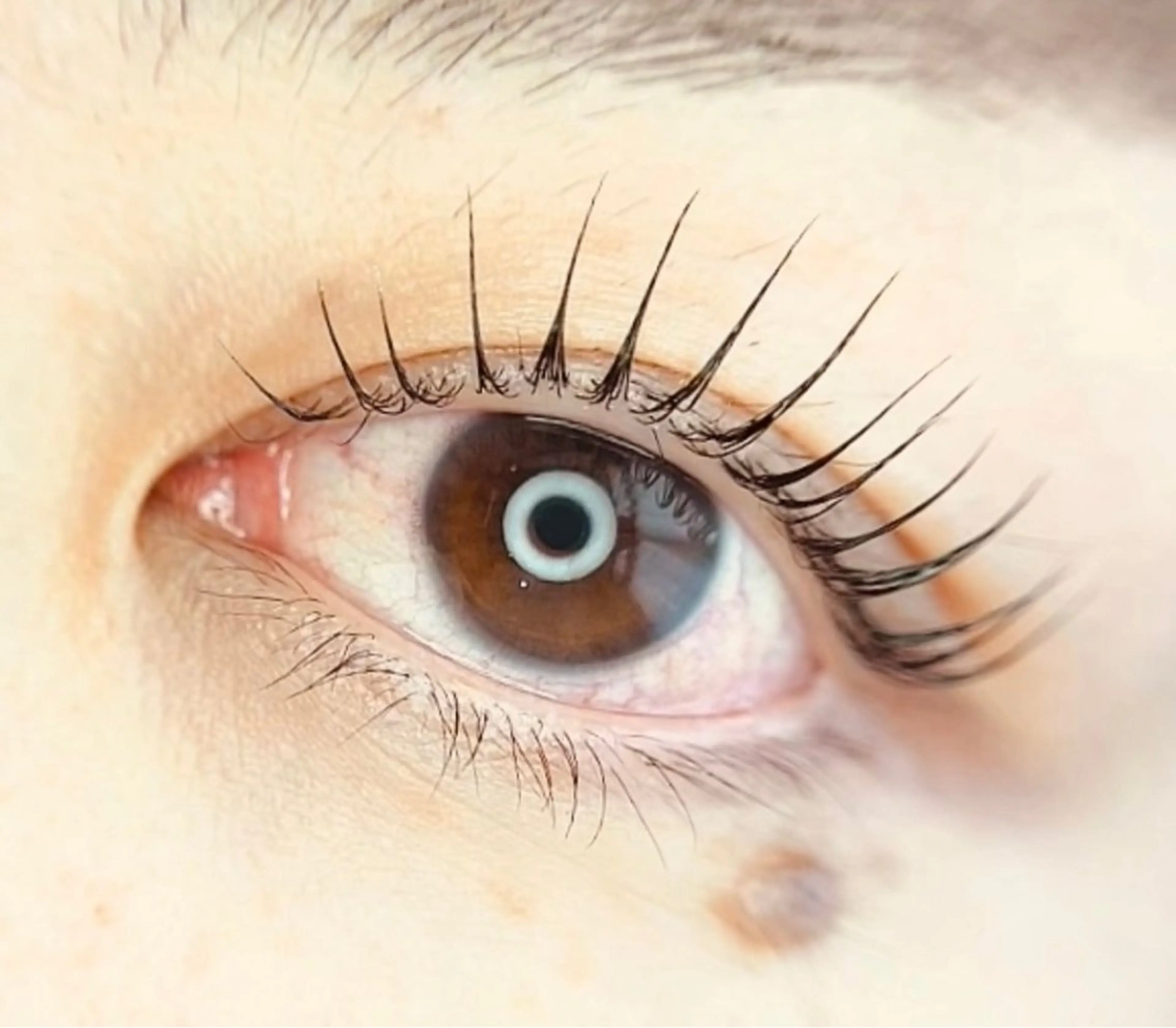 マツエク・マツパ un par un アンパルアン所属・un par unの眉毛・アイブロウイメージ