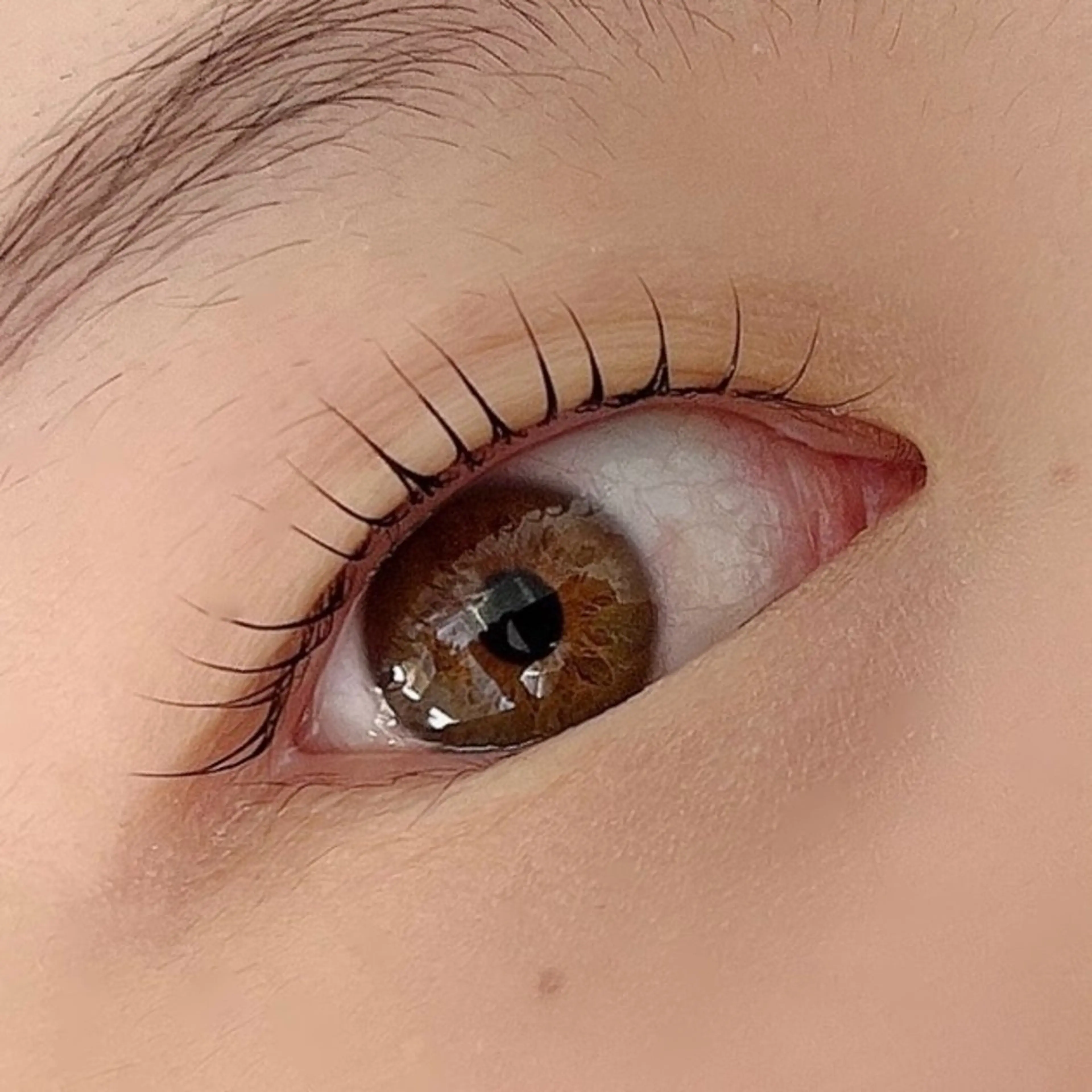 マツエク・マツパ 一重×まつ毛パーマ 【まつ毛パーマ/眉毛/毛穴ケア】Anoa'n所属・Anoa'n北千住 畠山菜緒のマツエク・マツパデザイン