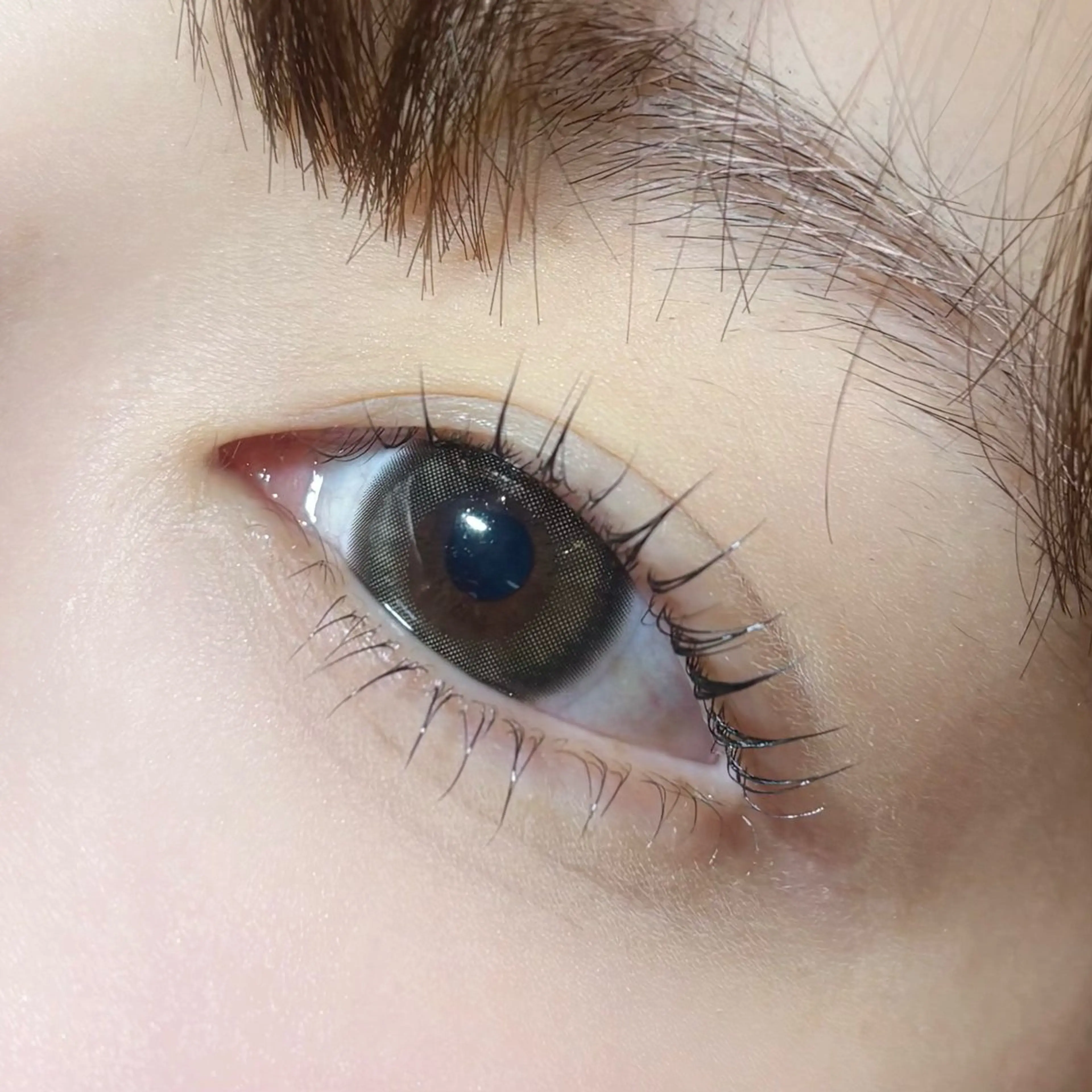 上下パリジェンヌorまつげパーマの写真