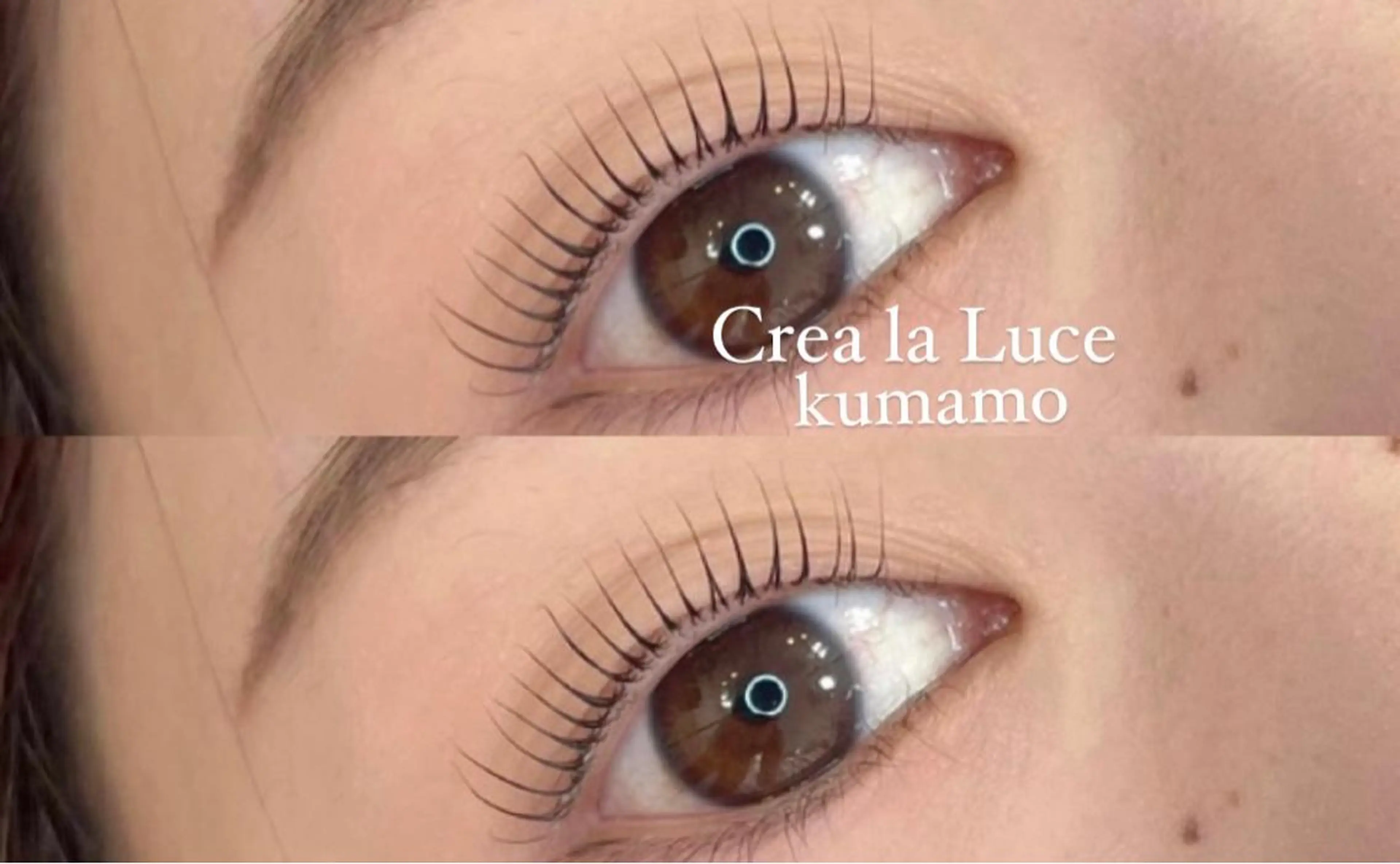 すぐ予約🙆🏻‍♀️12月限定🤍まつ毛パーマ練習モデル募集✨【現金のみ】の写真