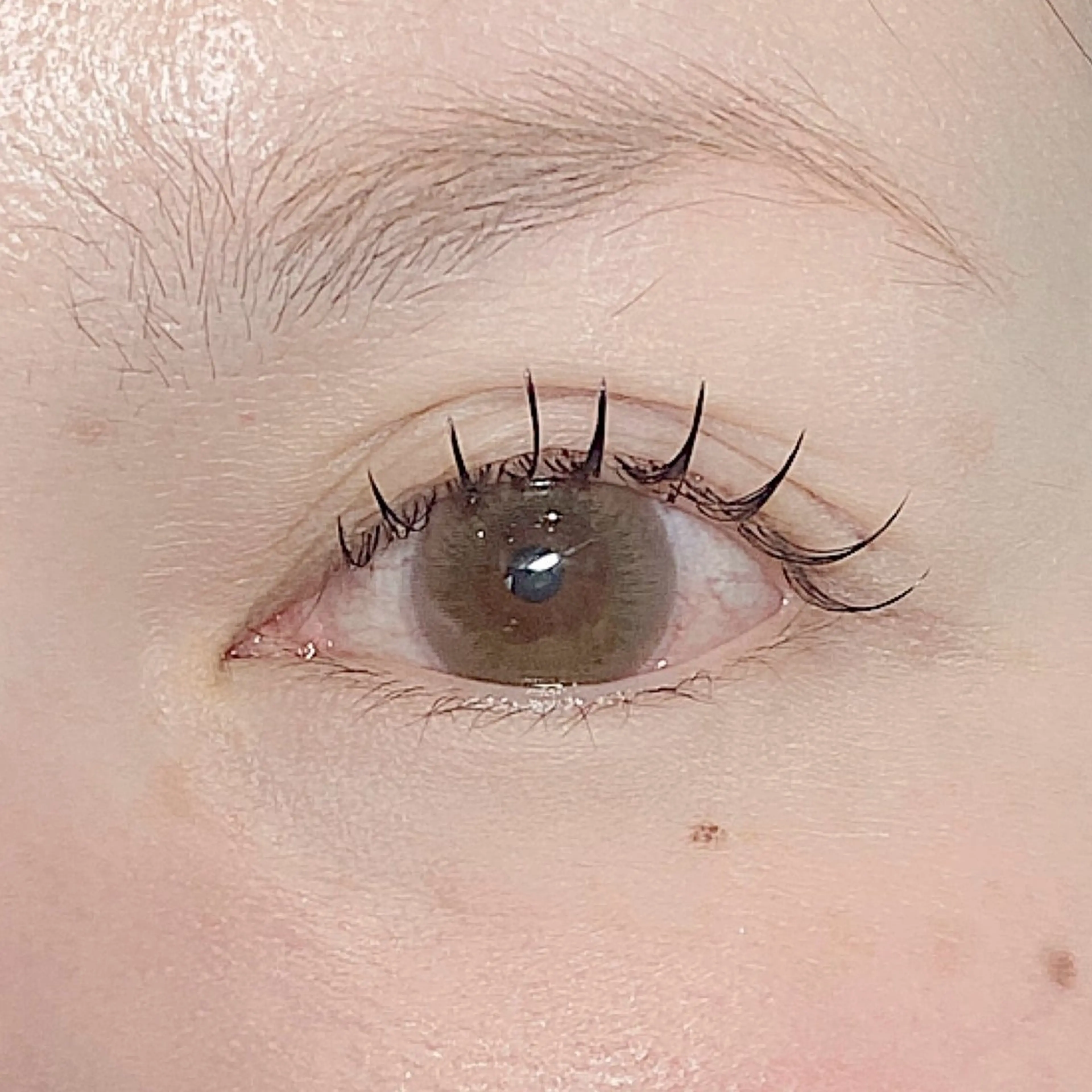 マツエク・マツパ マツエク Veil chihiroのマツエク・マツパデザイン