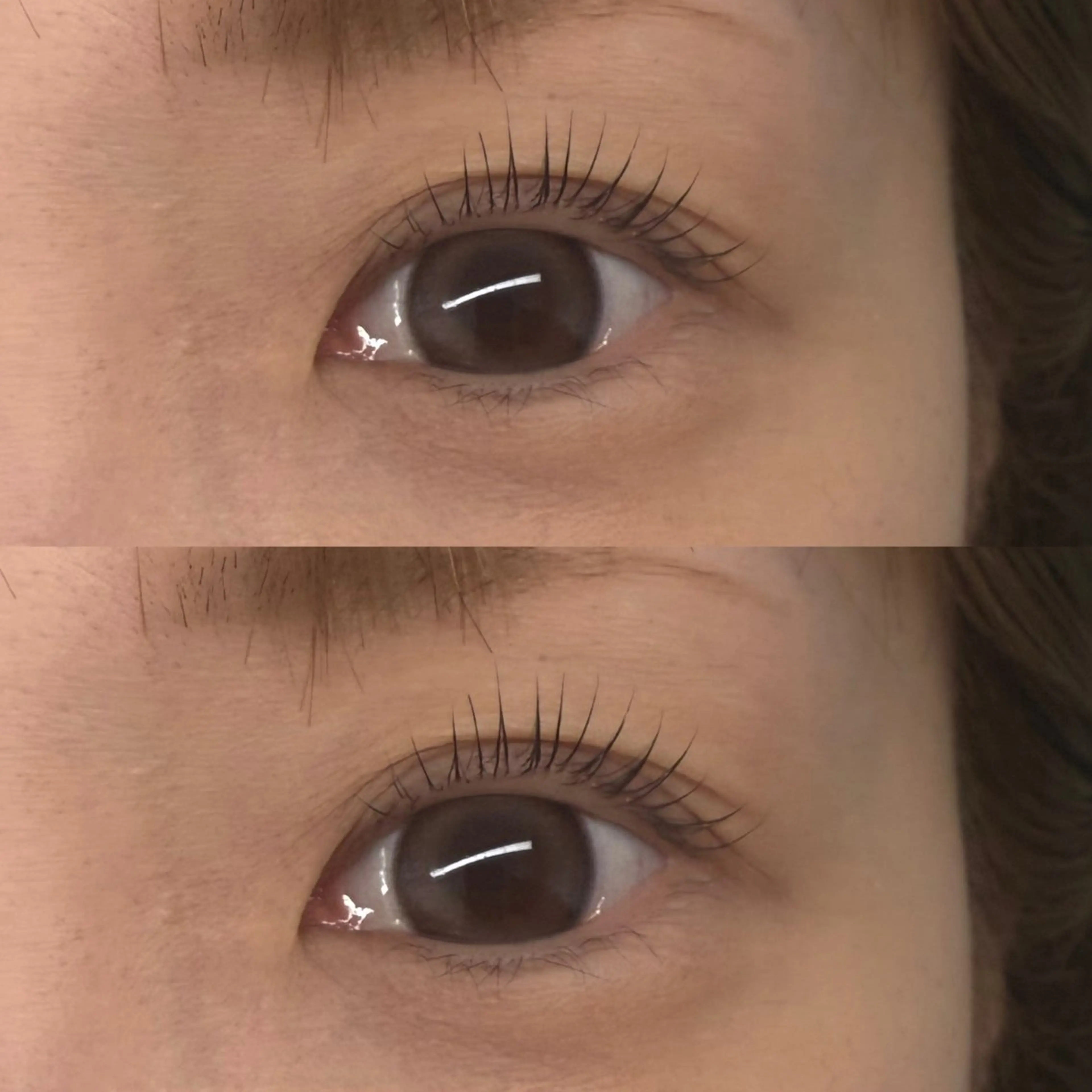 マツエク・マツパ マツパ まつパ/マツエク /眉/HBL/耳ツボのマツエク・マツパデザイン