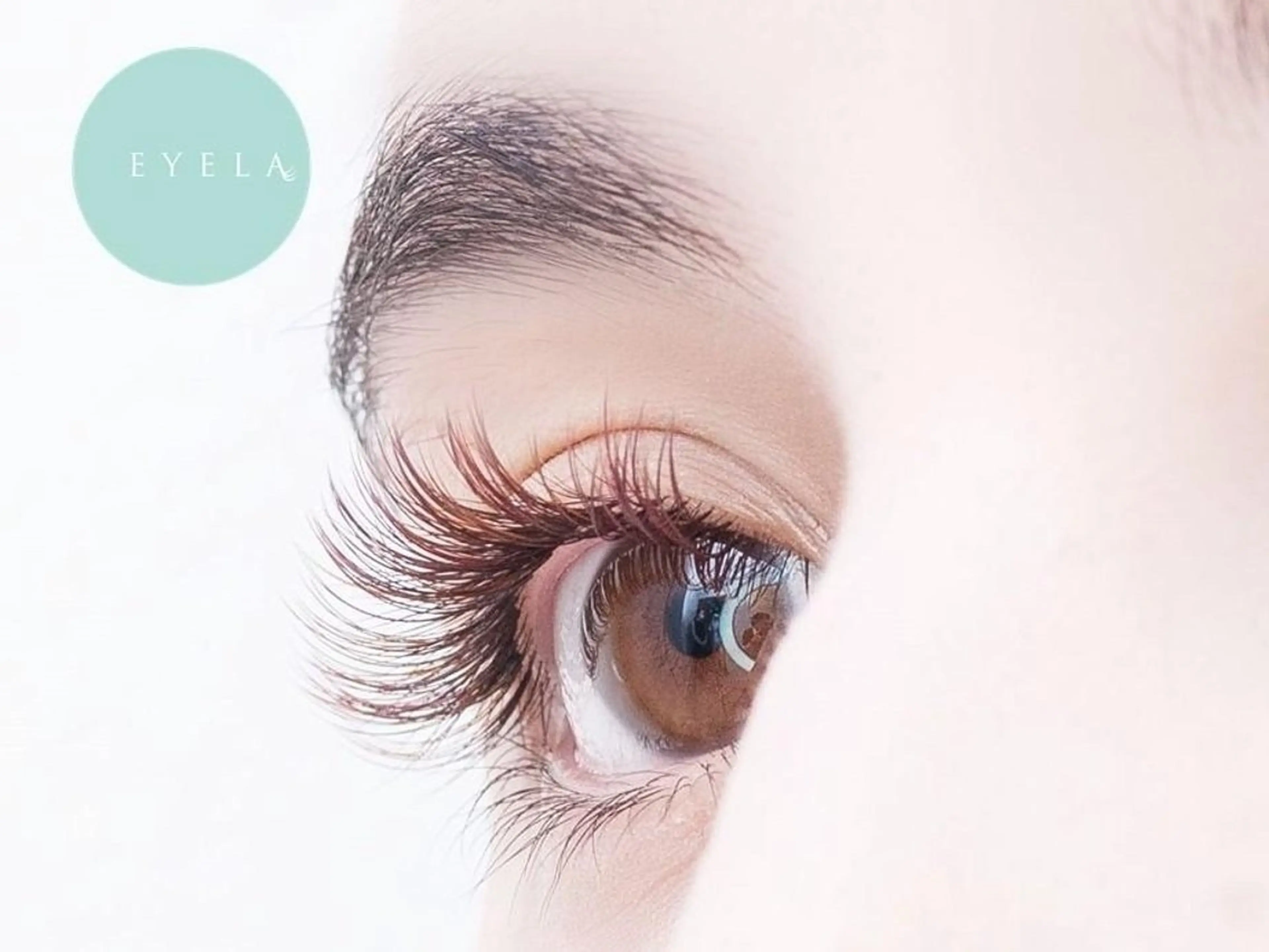 マツエク・マツパ EYELA 藤枝店所属・【EYELA】 池田のマツエク・マツパデザイン