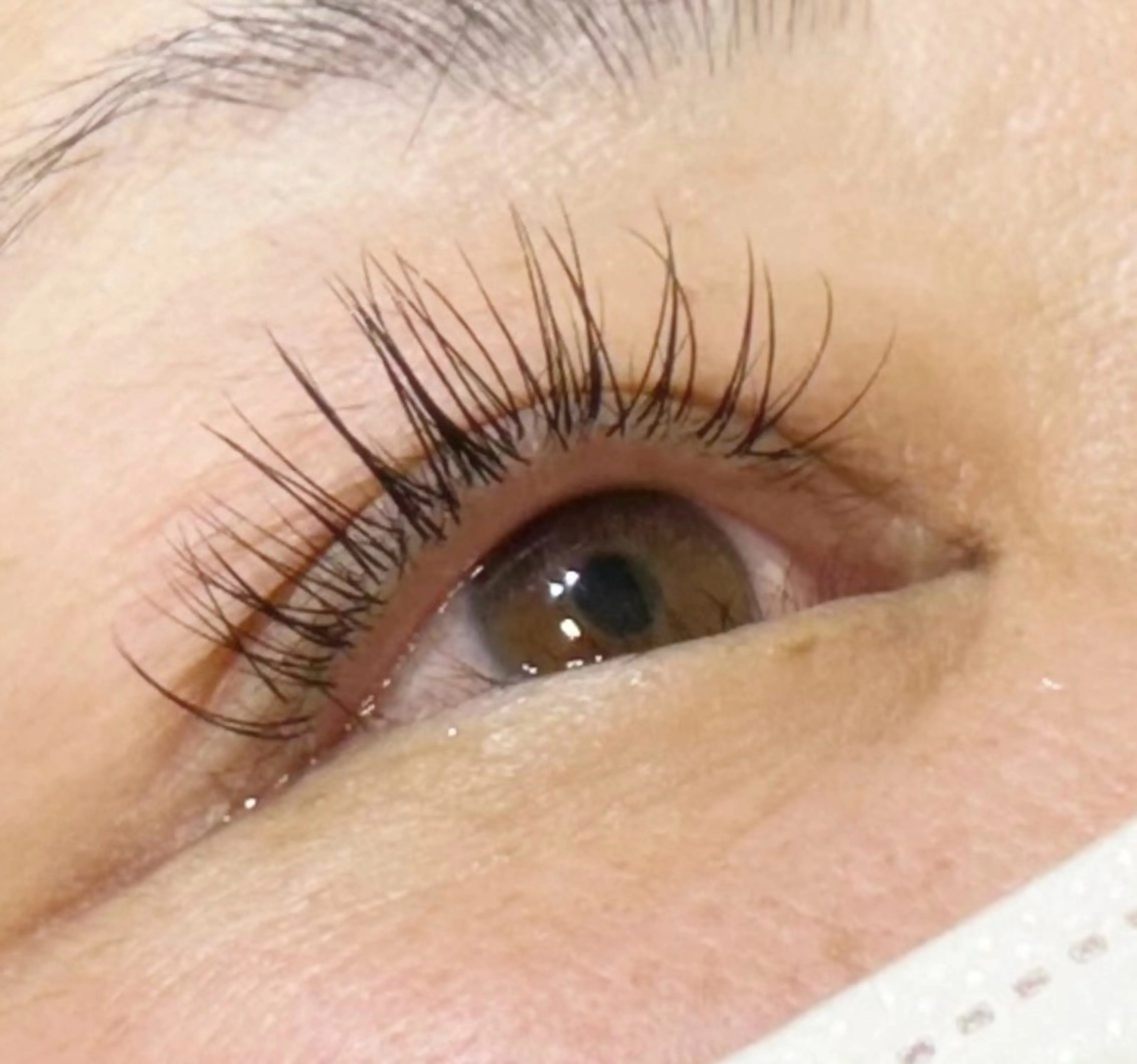 マツエク・マツパ Cカール MAQUIA 大石のマツエク・マツパデザイン