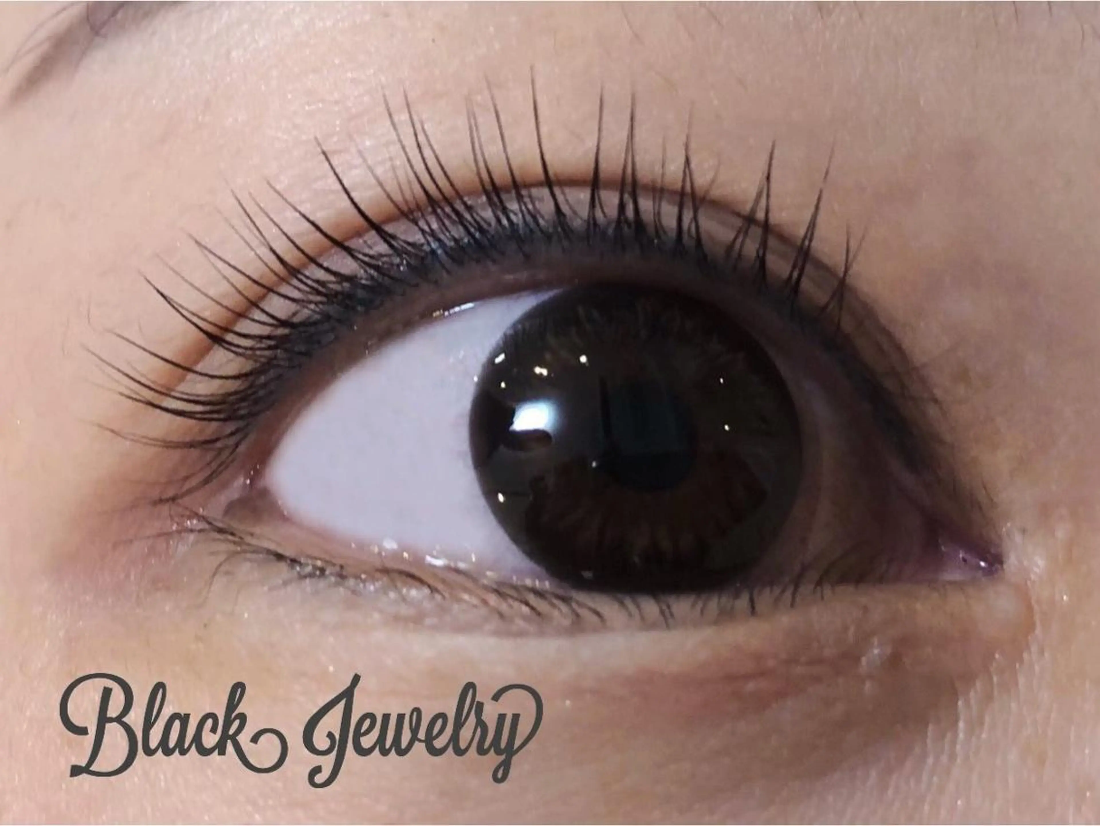 【上のみ】パリジェンヌラッシュリフトの写真