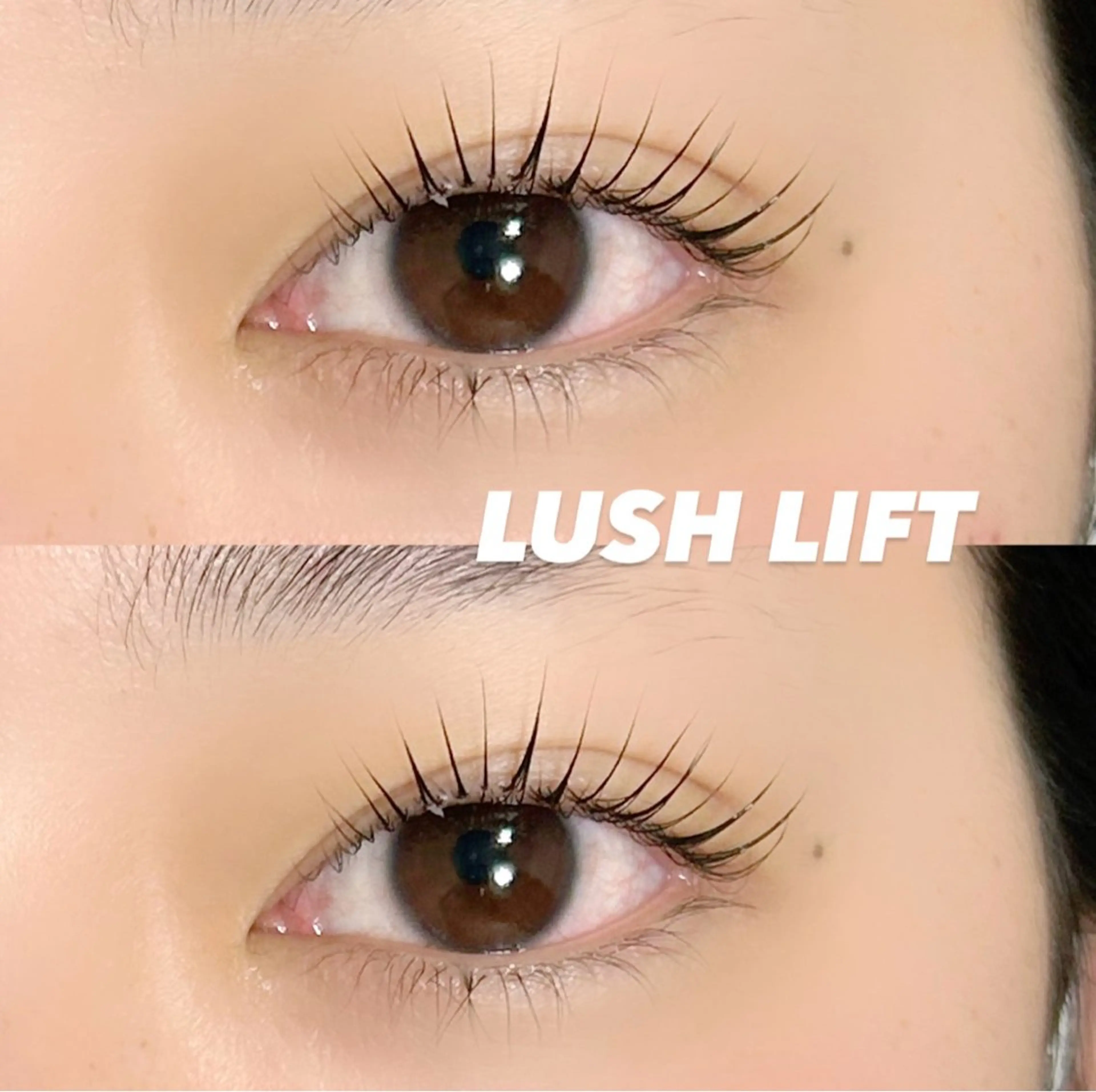 🔔🎄12月限定クーポン🦌【☃️初めての方】LUSH LIFT ￥6050▶▷▶￥3850の写真