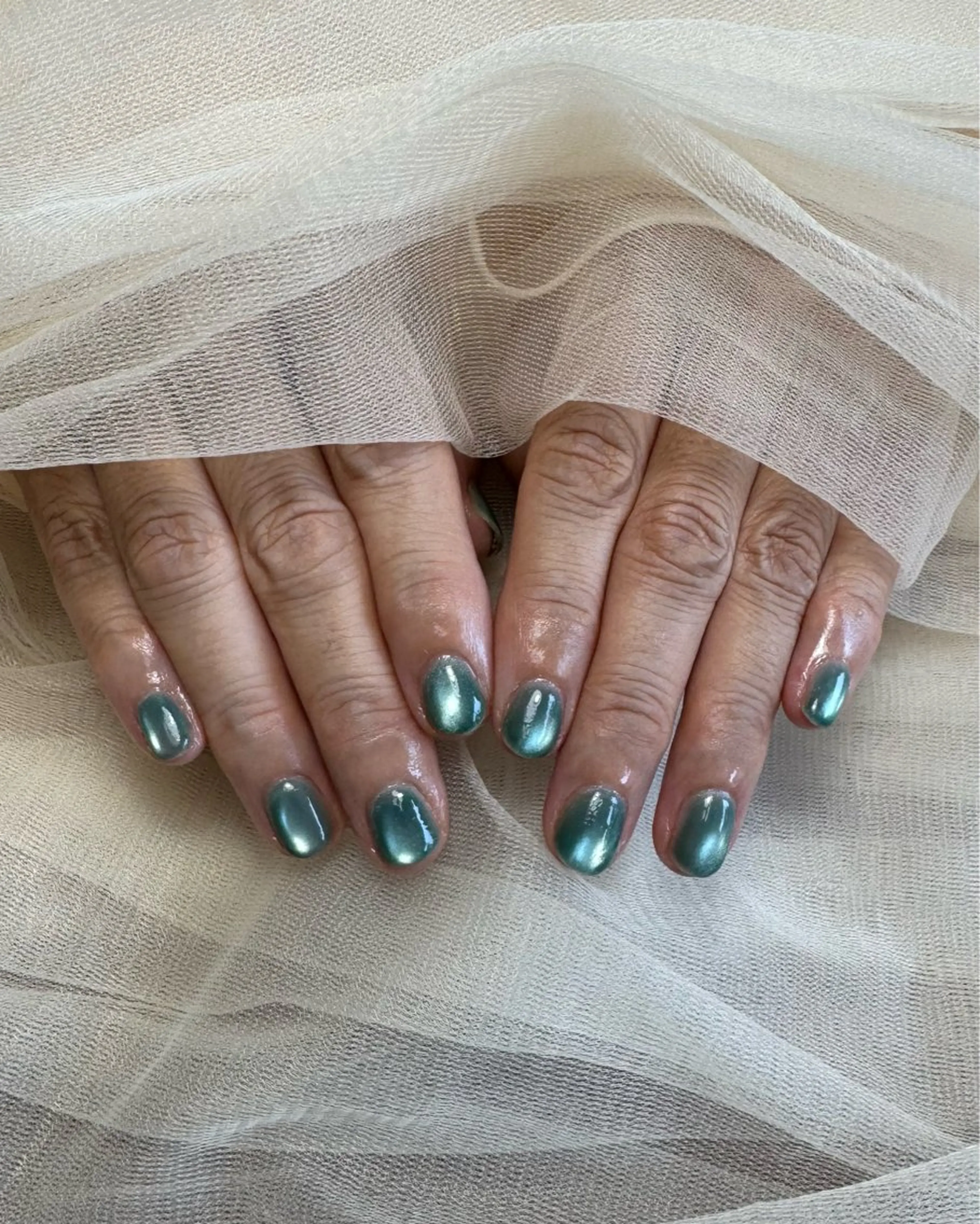 ネイル マグネットネイル マグネットワンカラー ワンカラーネイル ハンドネイル via nailのネイルデザイン