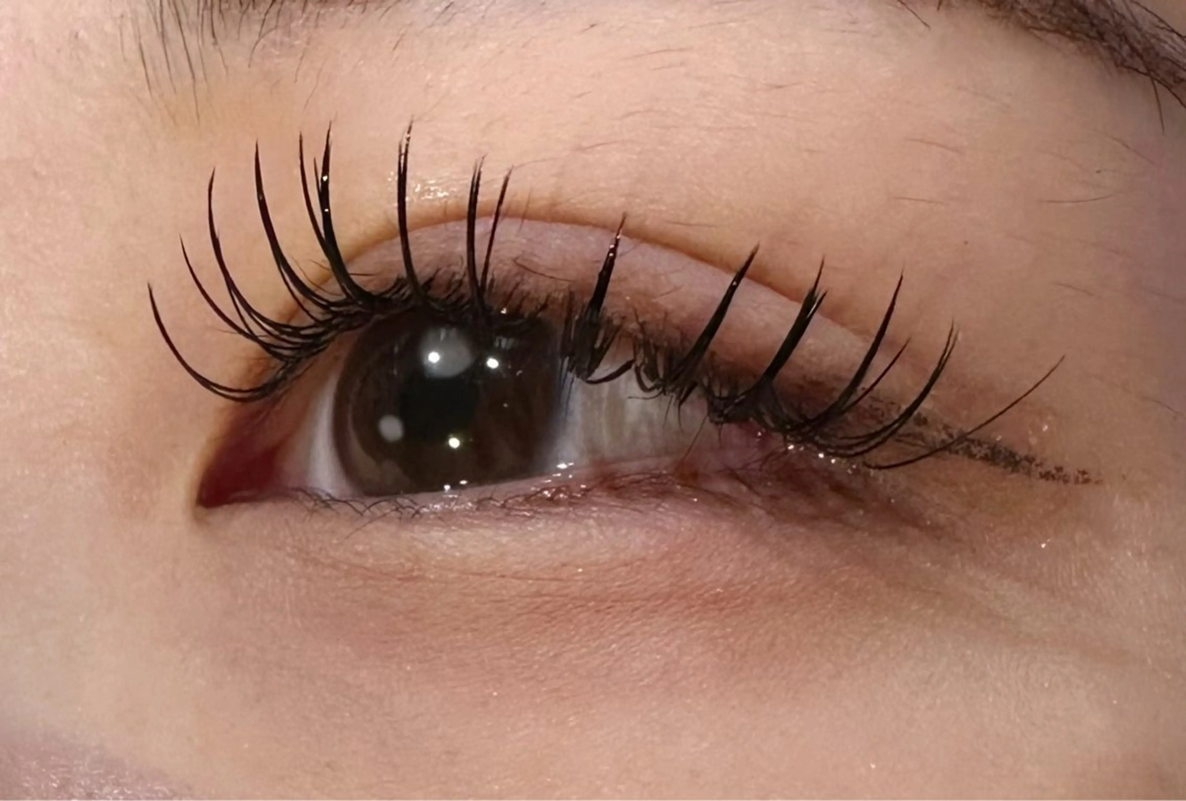 🧡カシミア🧡100本上付け放題オフ＆コーティング付きの写真