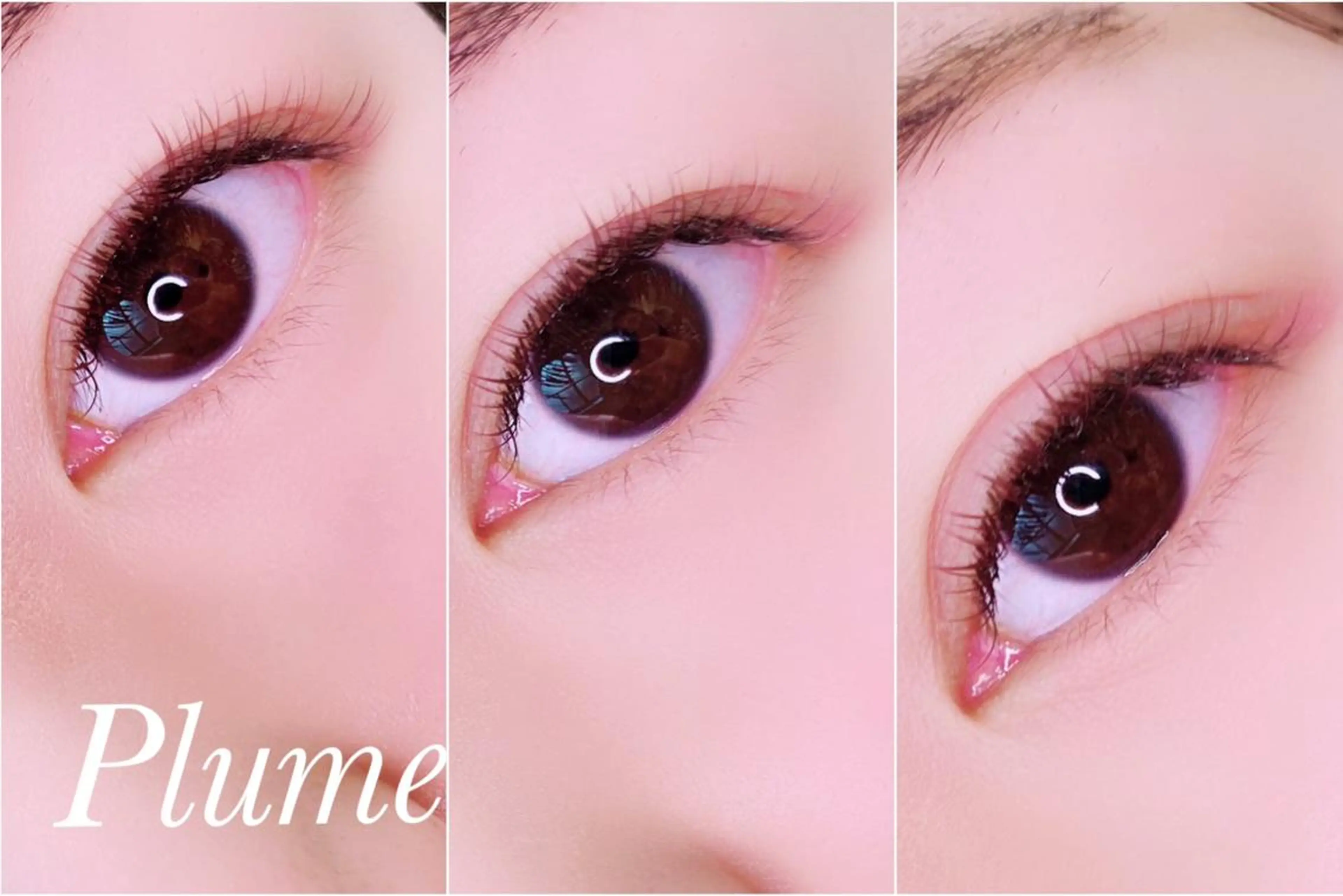 マツエク・マツパ カラーマツエク Plume[ﾌﾟﾘｭｰﾑ]所属・Plume ﾌﾟﾘｭｰﾑのマツエク・マツパデザイン