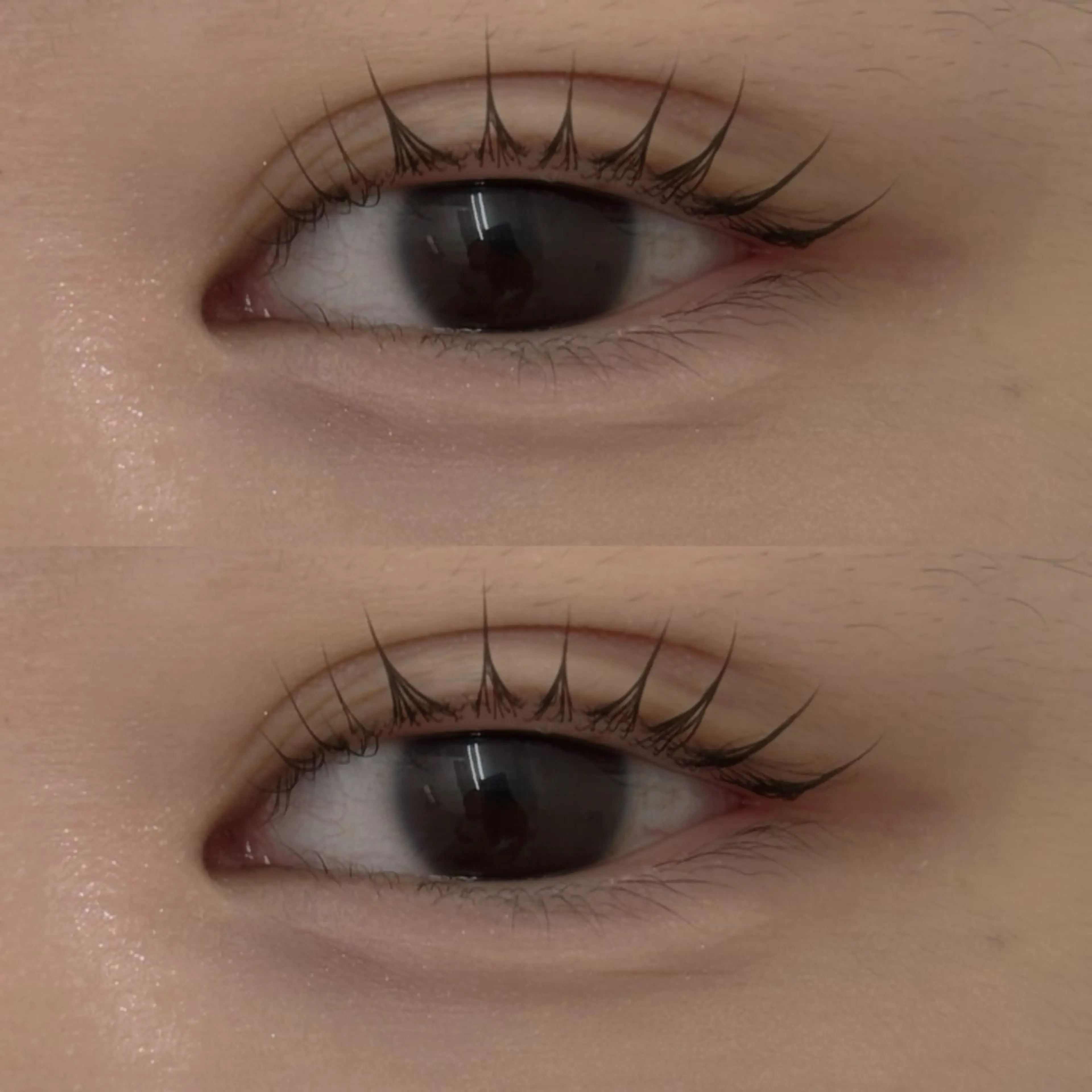 マツエク・マツパ hinata EYELAのマツエク・マツパデザイン