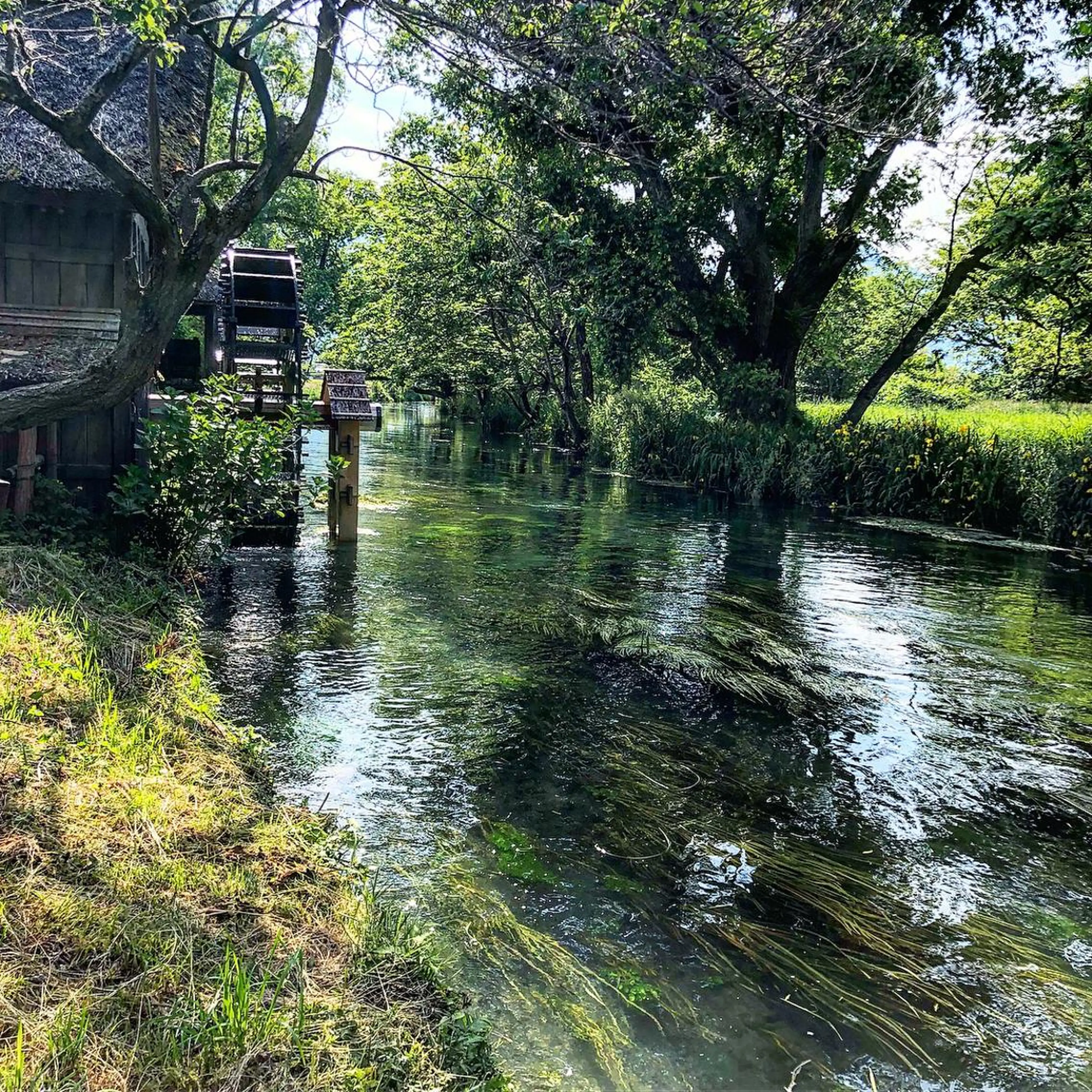 小濱 秀人のヘアスタイル