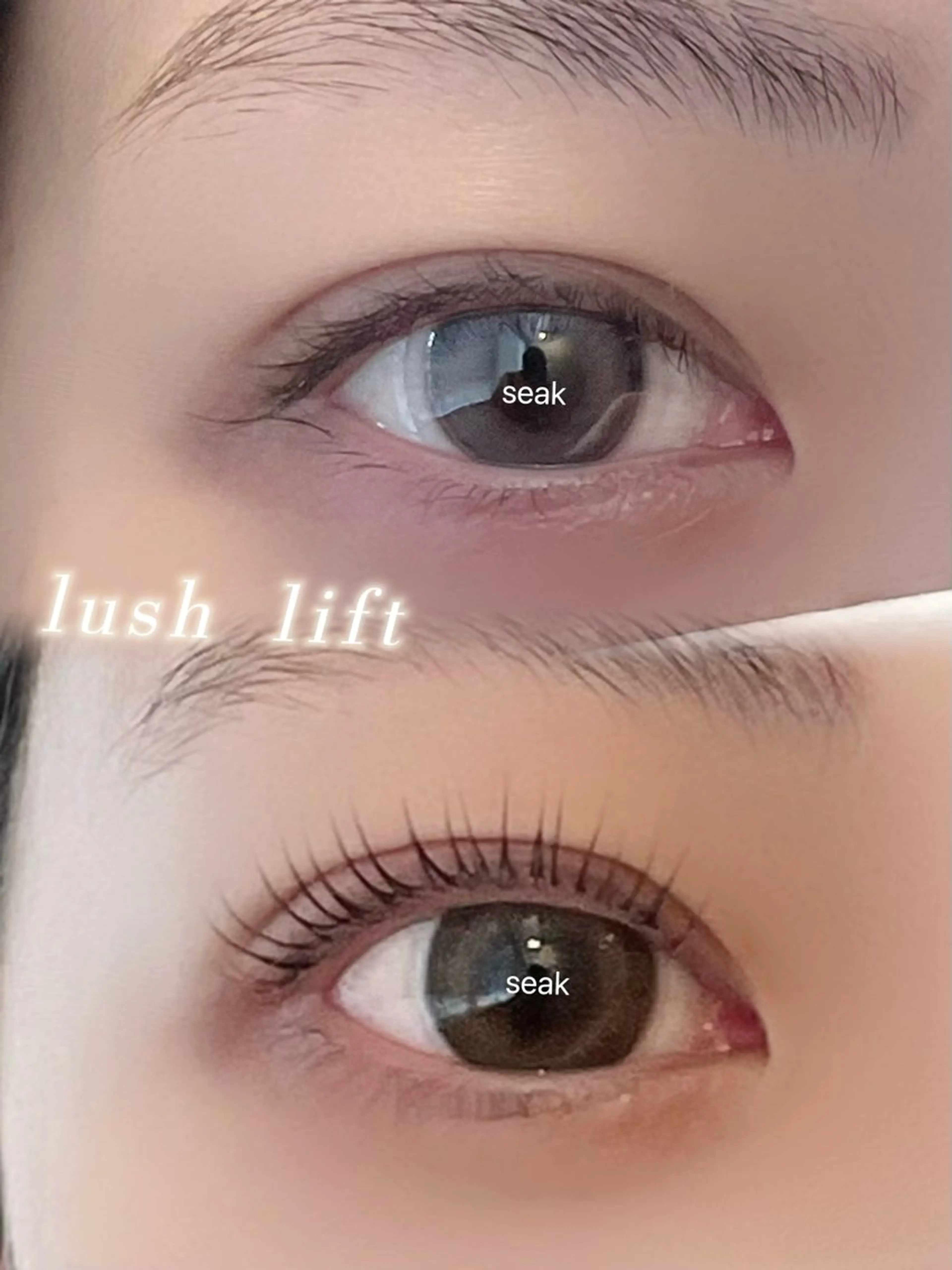 トリートメント付きパーソナル上ラッシュリフト💞（まつ毛オフ込み）の写真
