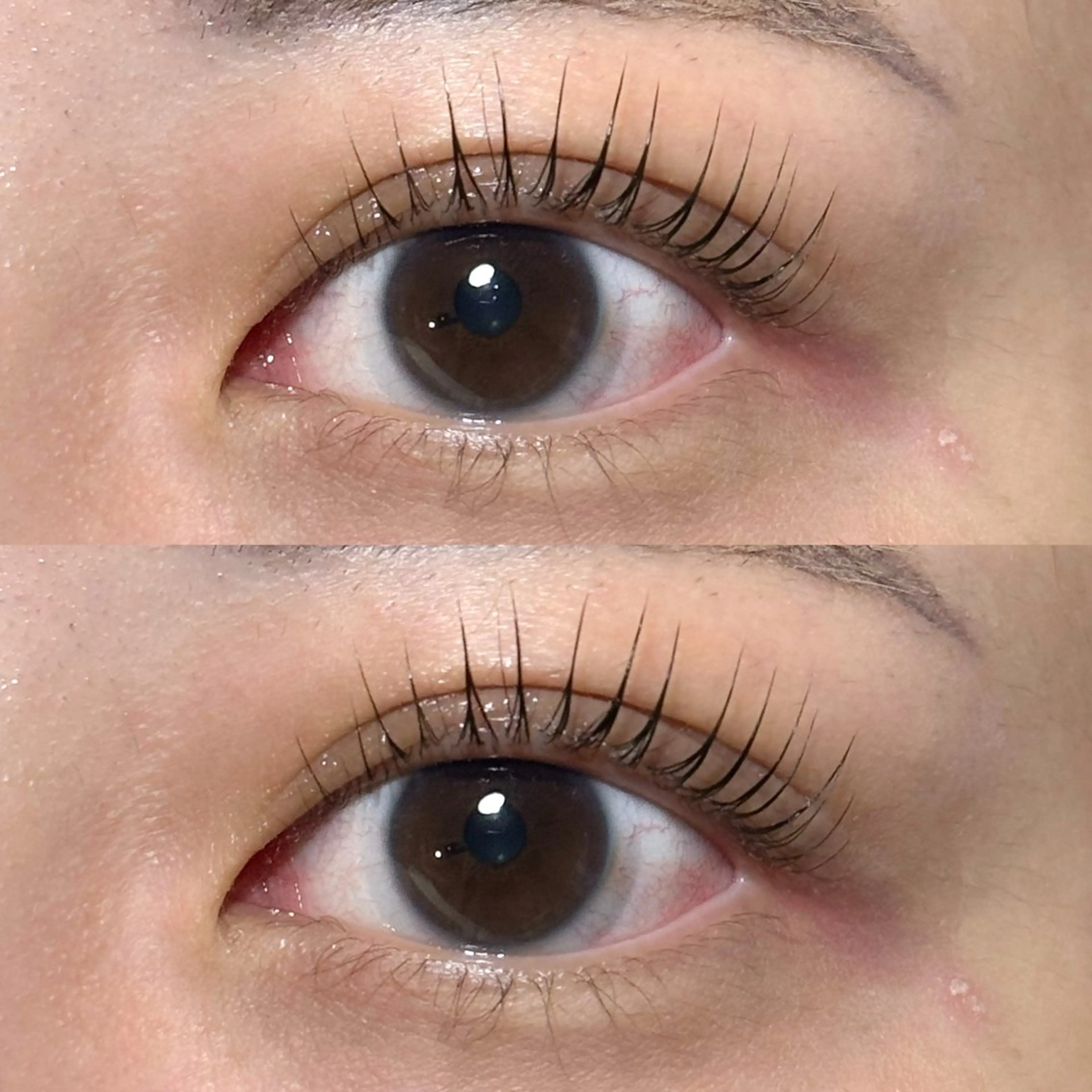 【ご来店2.3回目の方のみ】カール上&パリジェンヌ上のみ🩷美容成分入りコーティング剤付き✨の写真