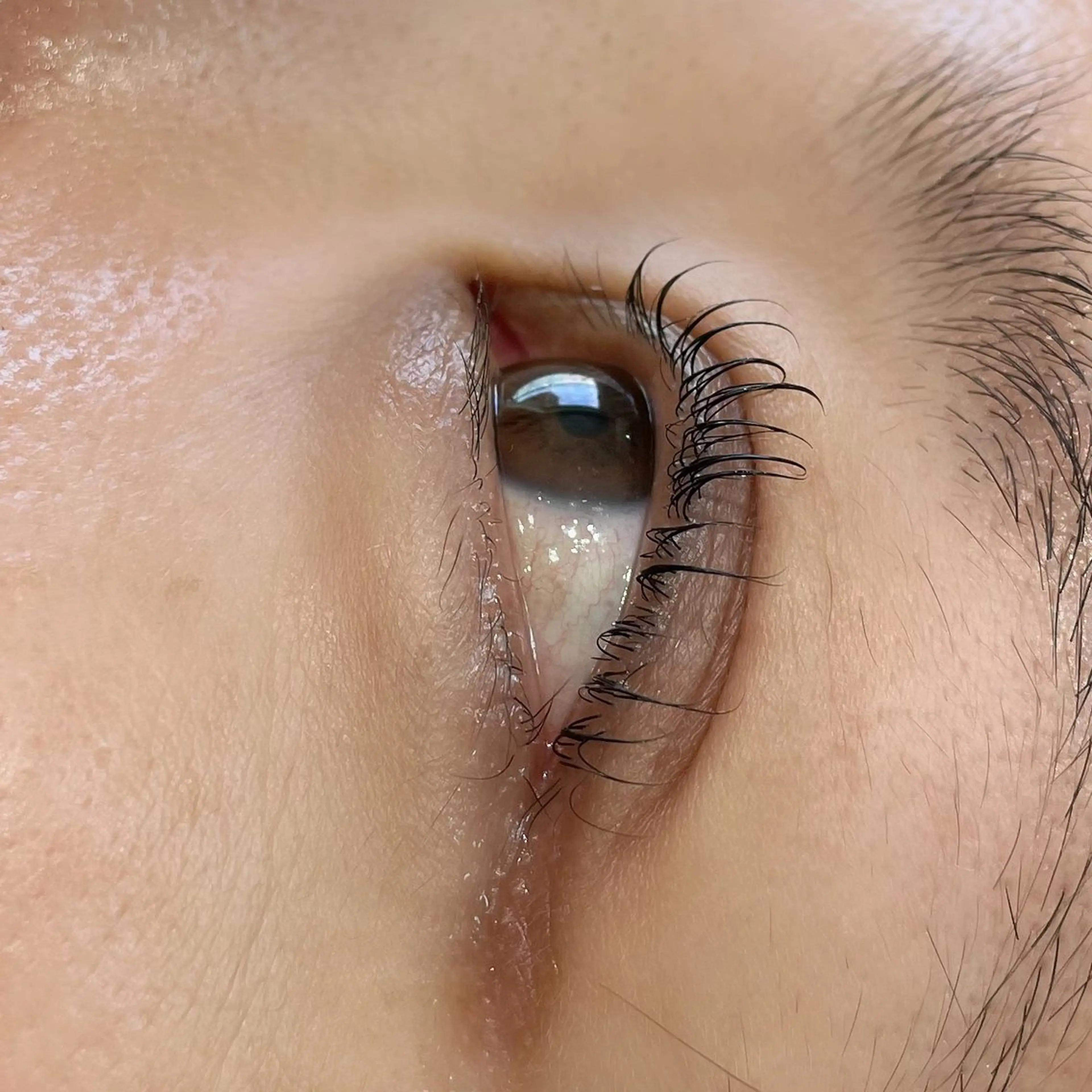 マツエク・マツパ マツパ Koti sakai mayuのマツエク・マツパデザイン