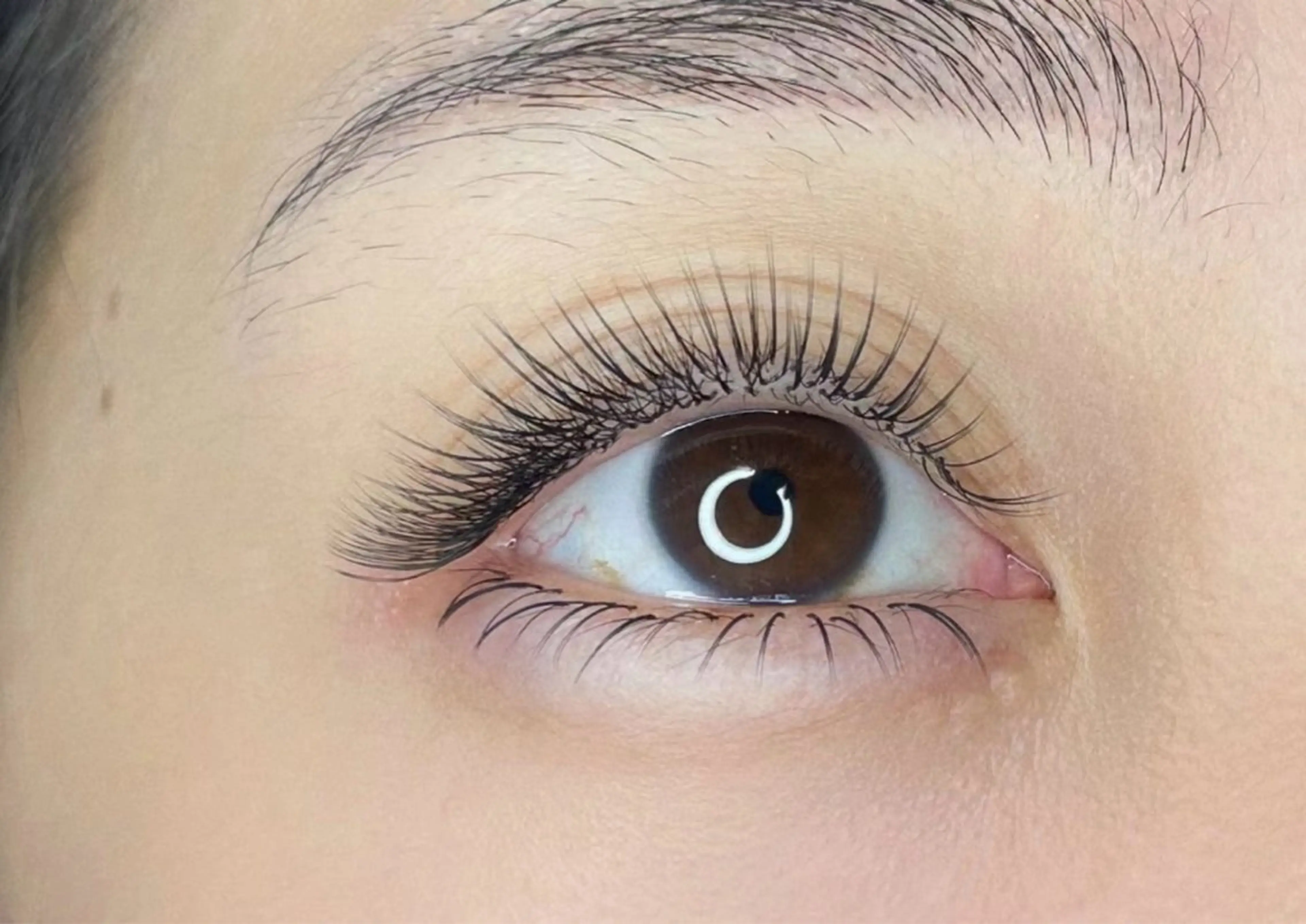 マツエク・マツパ MAX eyelash6のマツエク・マツパデザイン