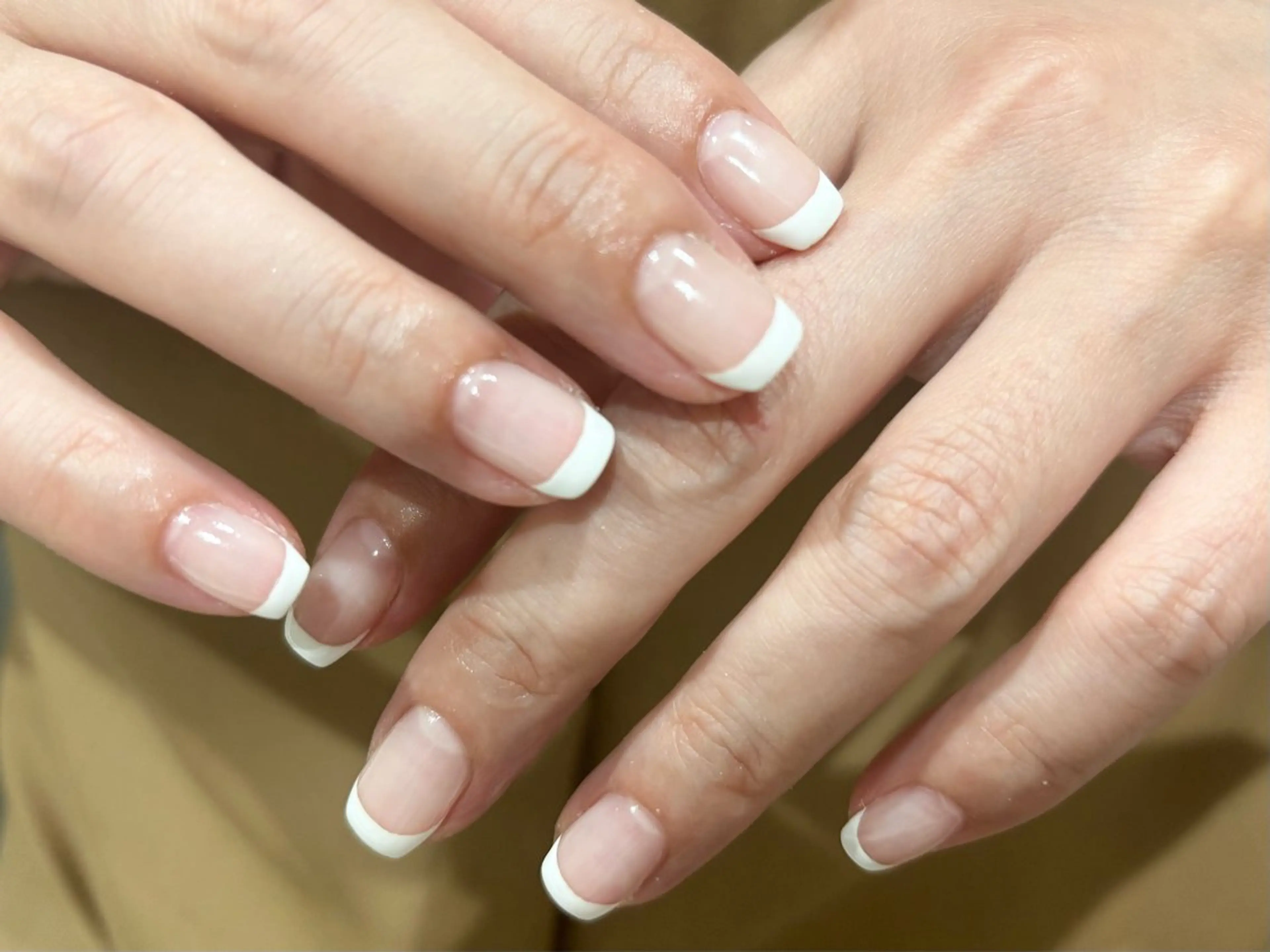 【オフあり】フレンチの写真