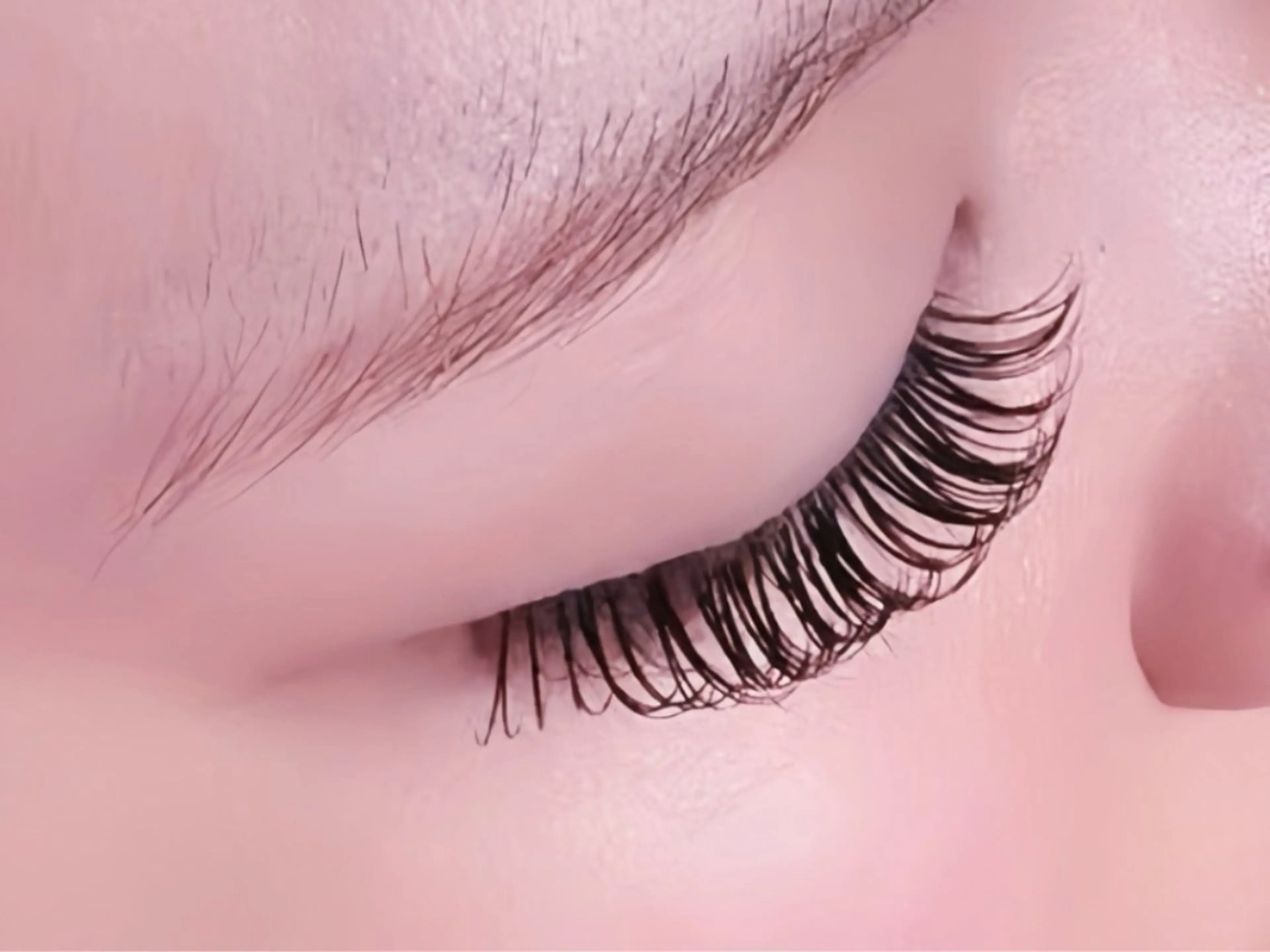 ［ご新規様限定］ダブルフラットラッシュ　つけ放題の写真