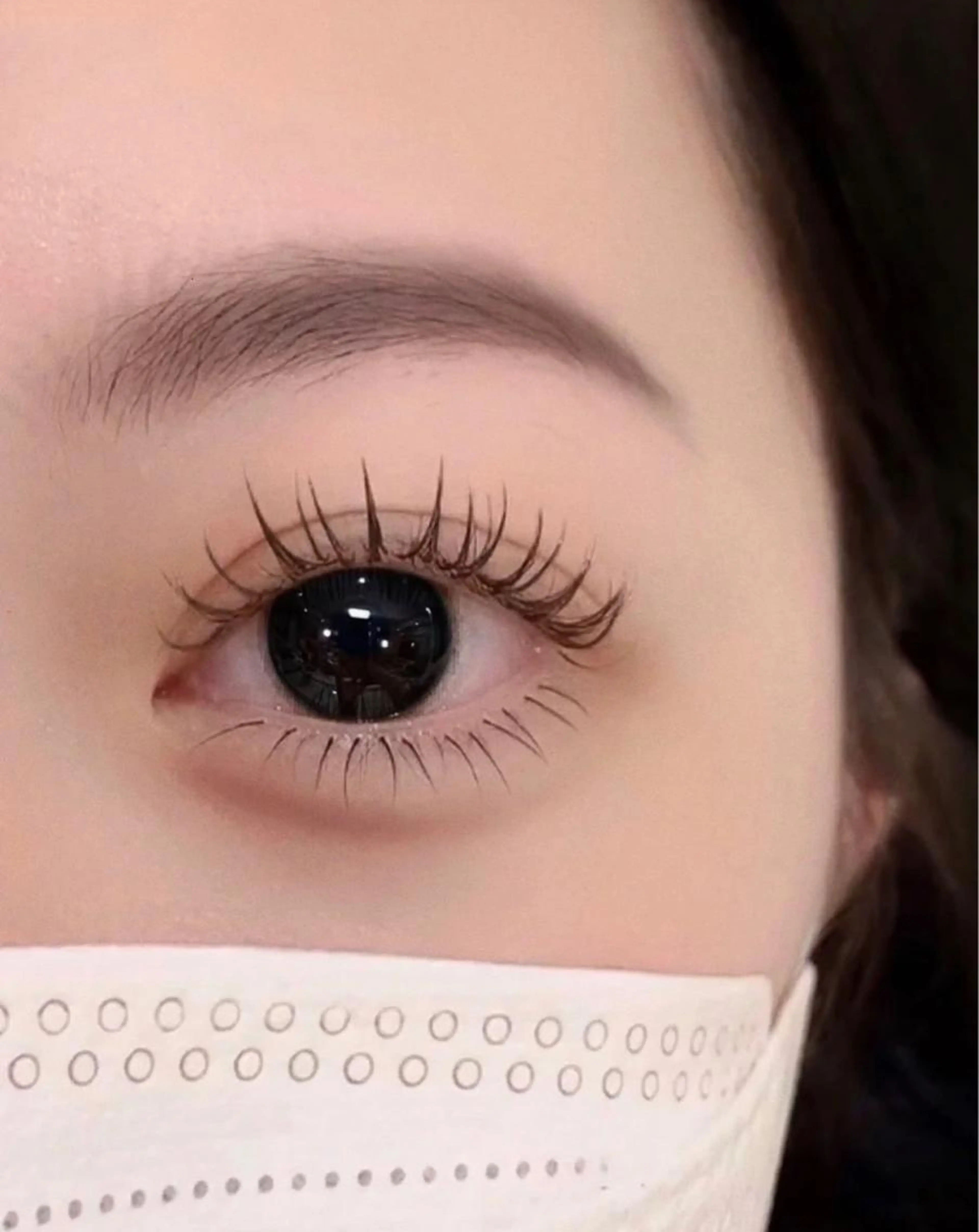 LED試しメニュー🌸フラットラッシュ100本、新規オフ込の写真