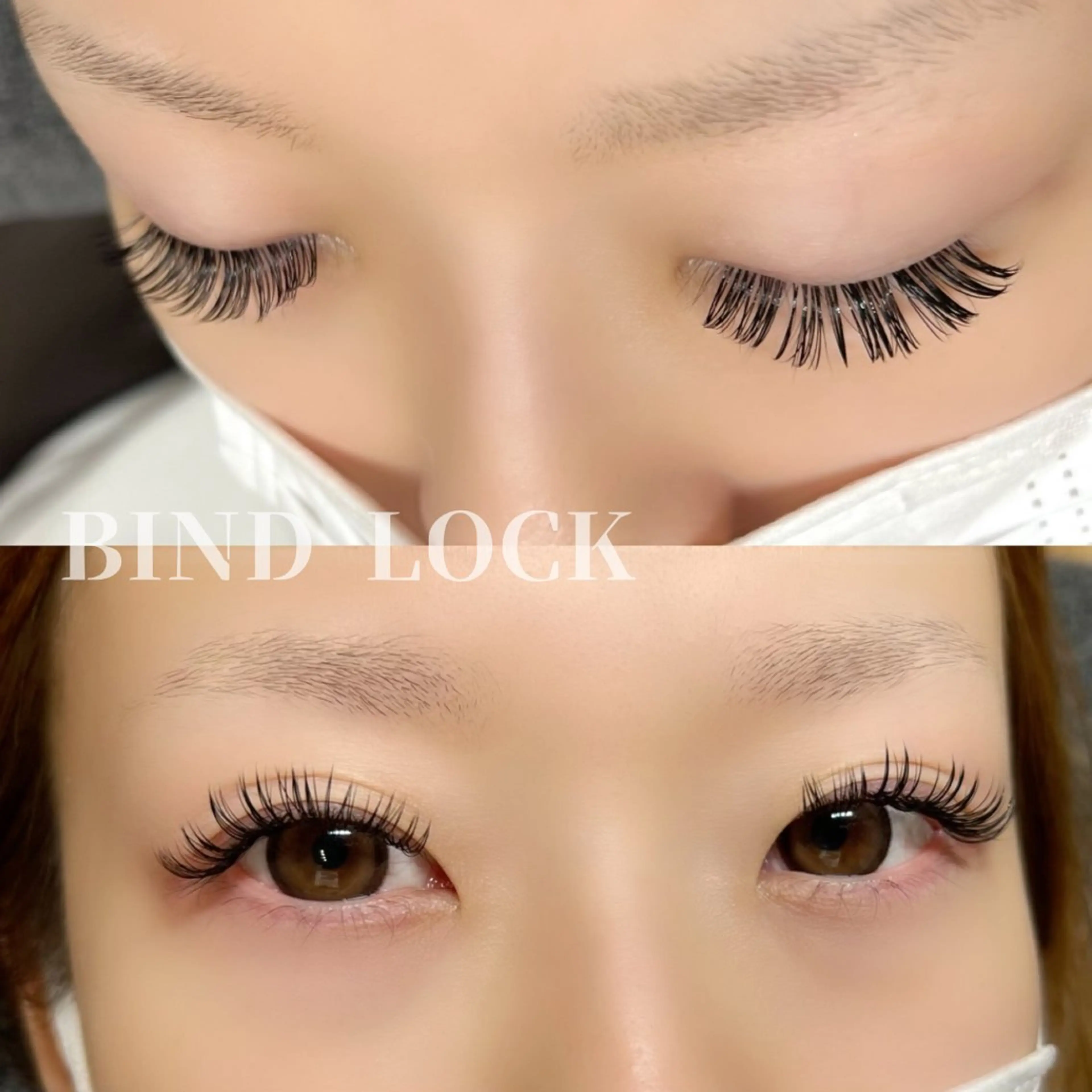 バインドロック(ダブルフラット)120束240本の写真