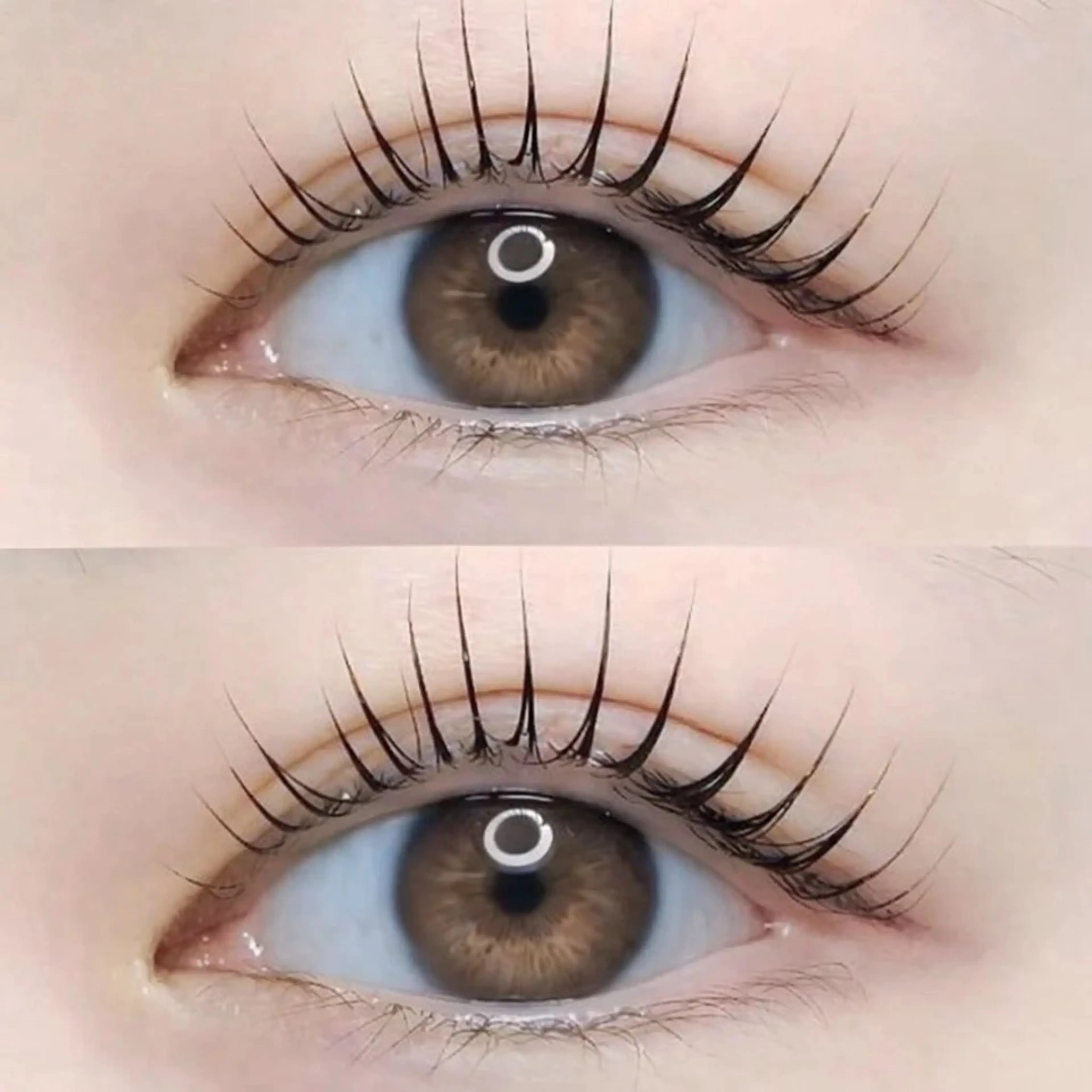 まつ毛パーマ  🎀コーティング付き（上のみ）の写真