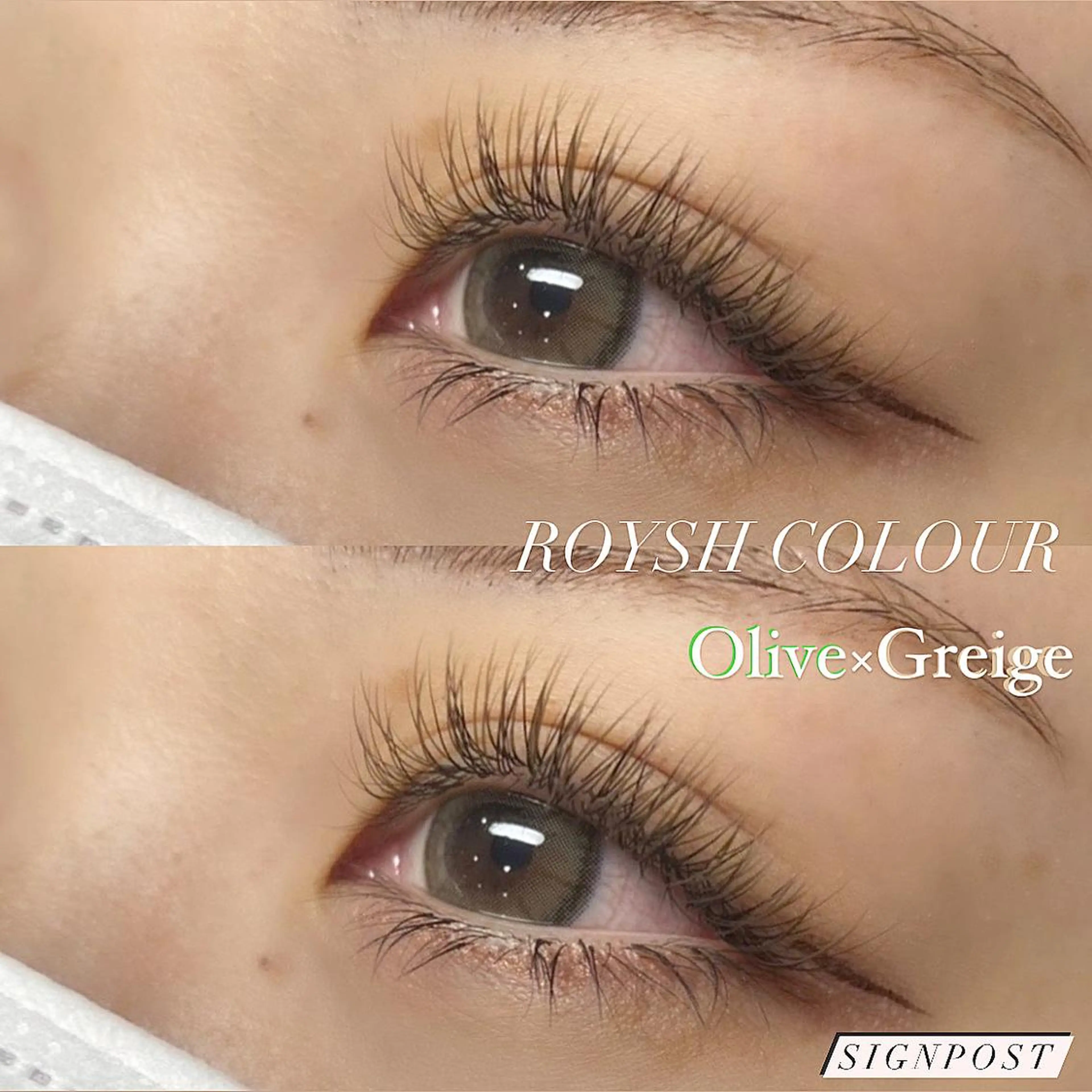 マツエク・マツパ signpost 田村の眉毛・アイブロウイメージ