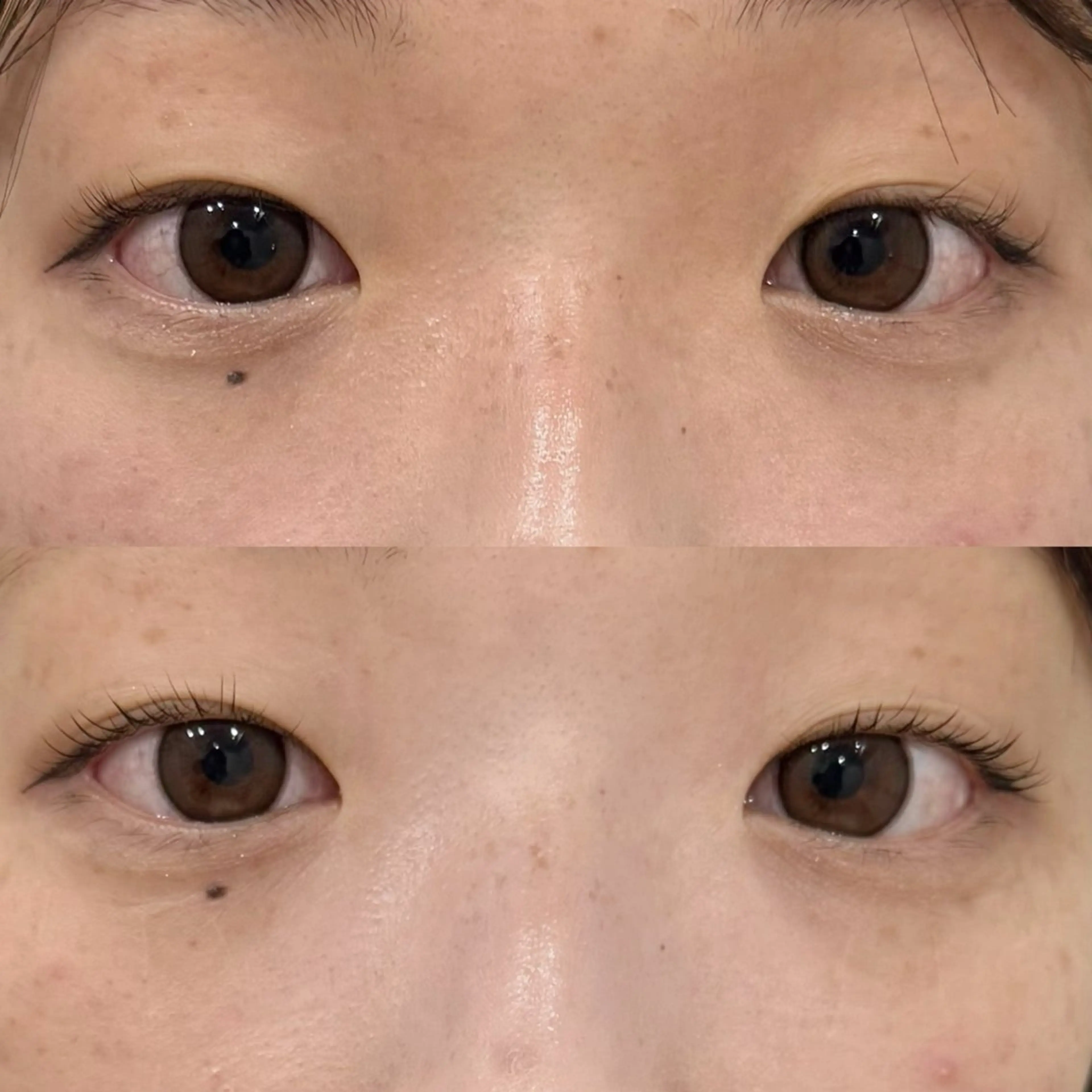 マツエク・マツパ マツパ LICO🤍 Chihoのマツエク・マツパデザイン