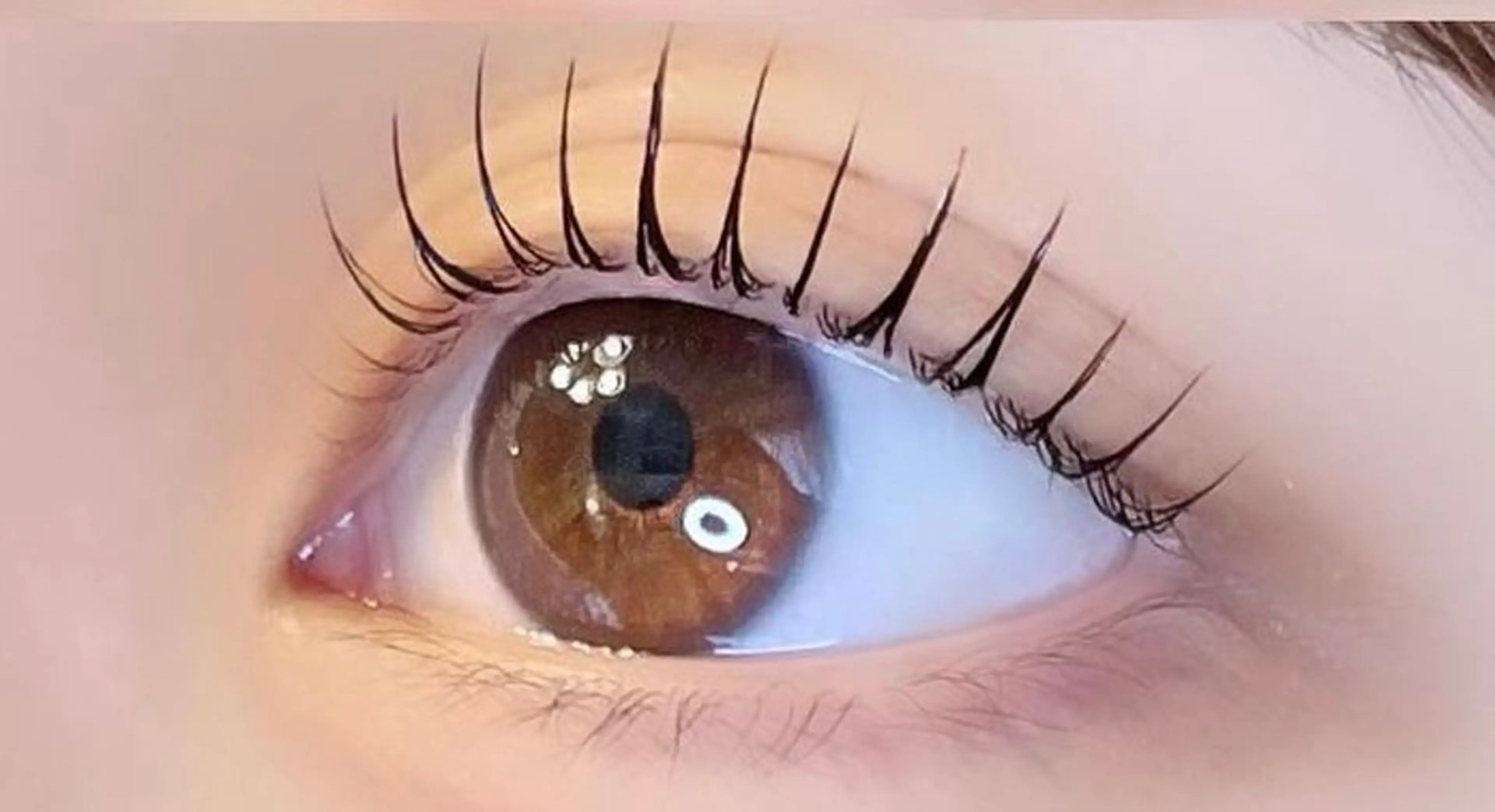 マツエク・マツパ アンジュネス 池袋のマツエク・マツパデザイン