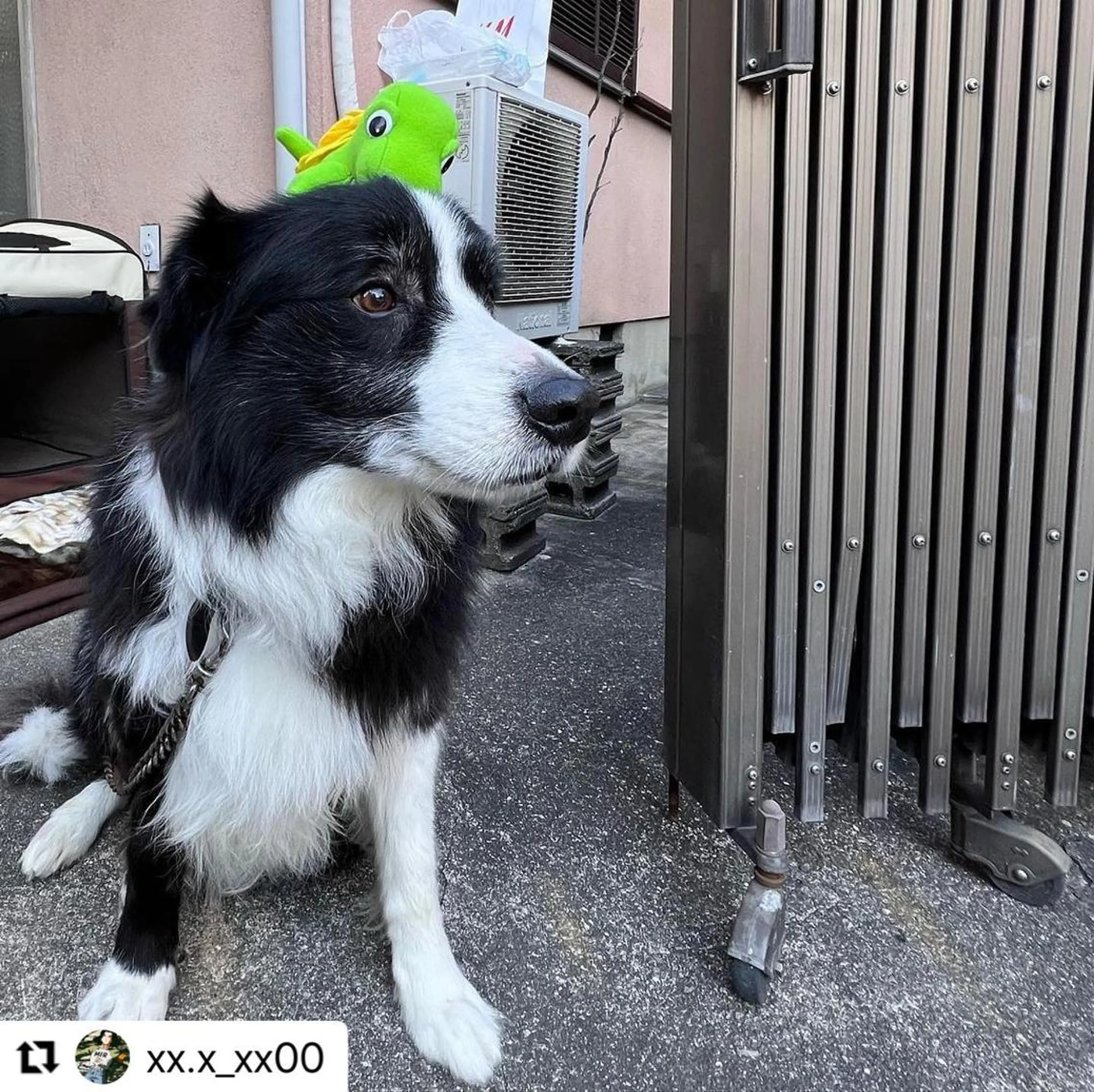 ミディアム カラー メンズ 🩷Eny terrace🩷のヘアスタイル