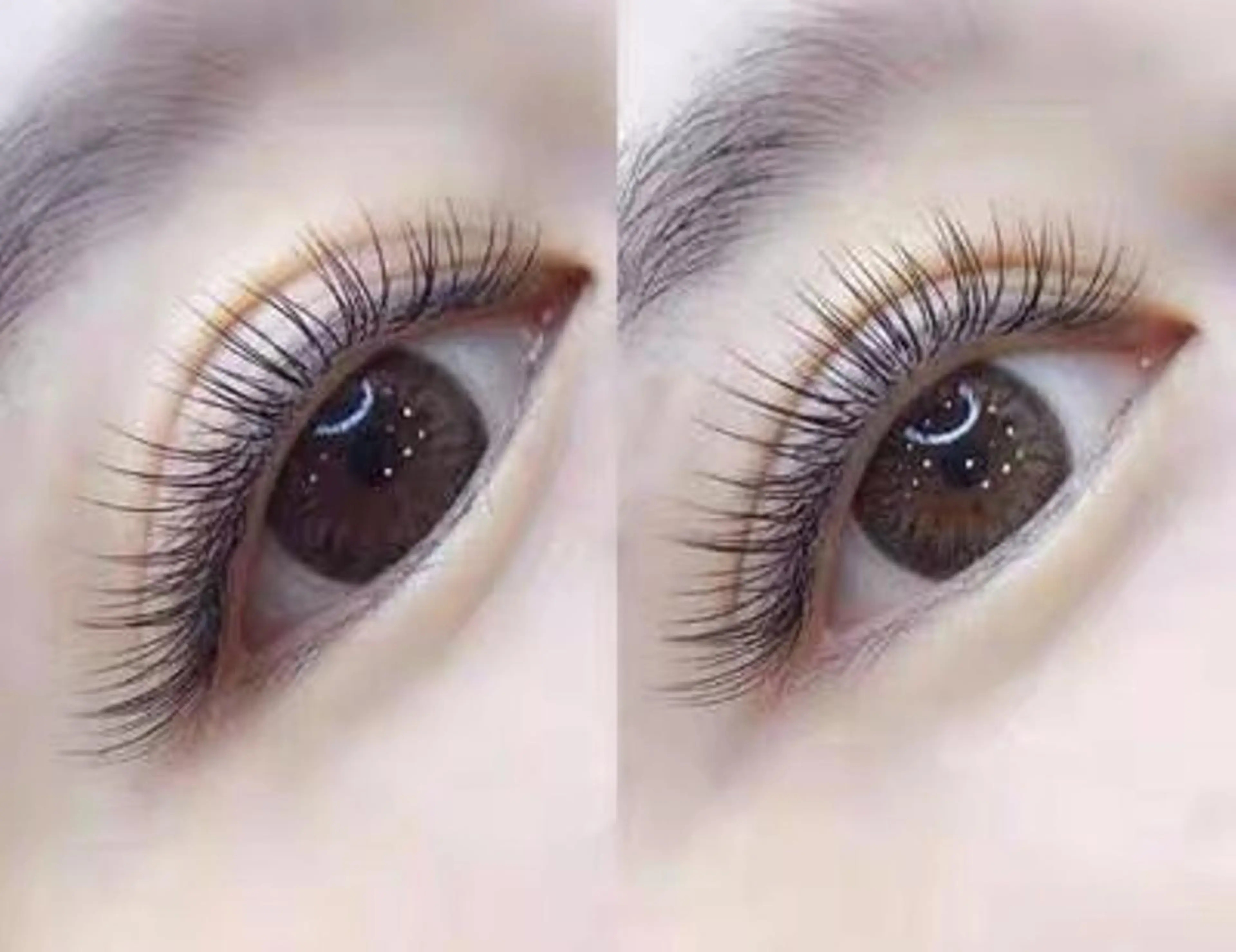 マツエク・マツパ 付け放題 フラットラッシュ ミンク セーブル Cute B e au t yのマツエク・マツパデザイン