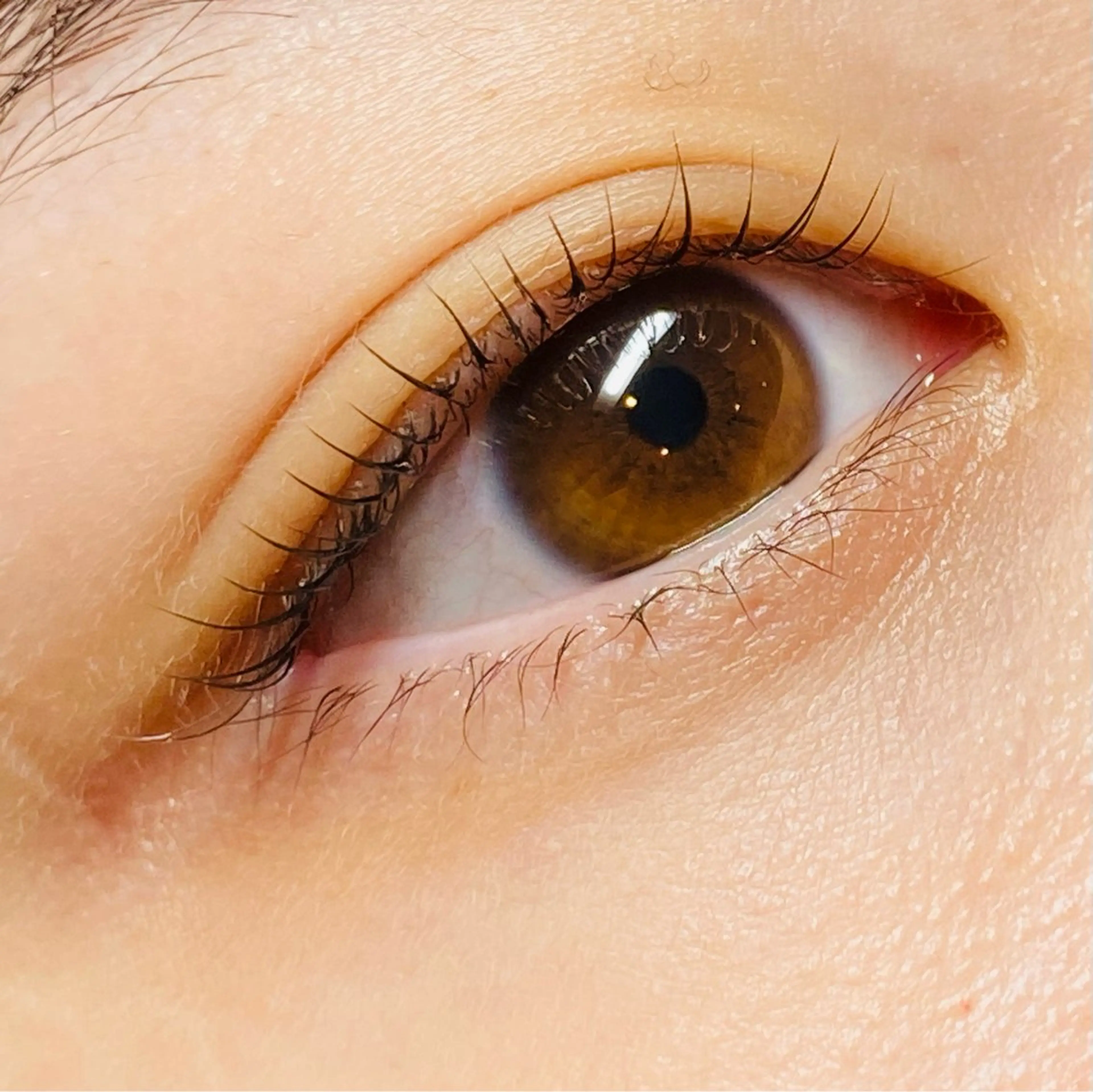 マツエク・マツパ 一重×まつ毛パーマ Armeria Eyelash & Nail所属・中島 夕菜のマツエク・マツパデザイン