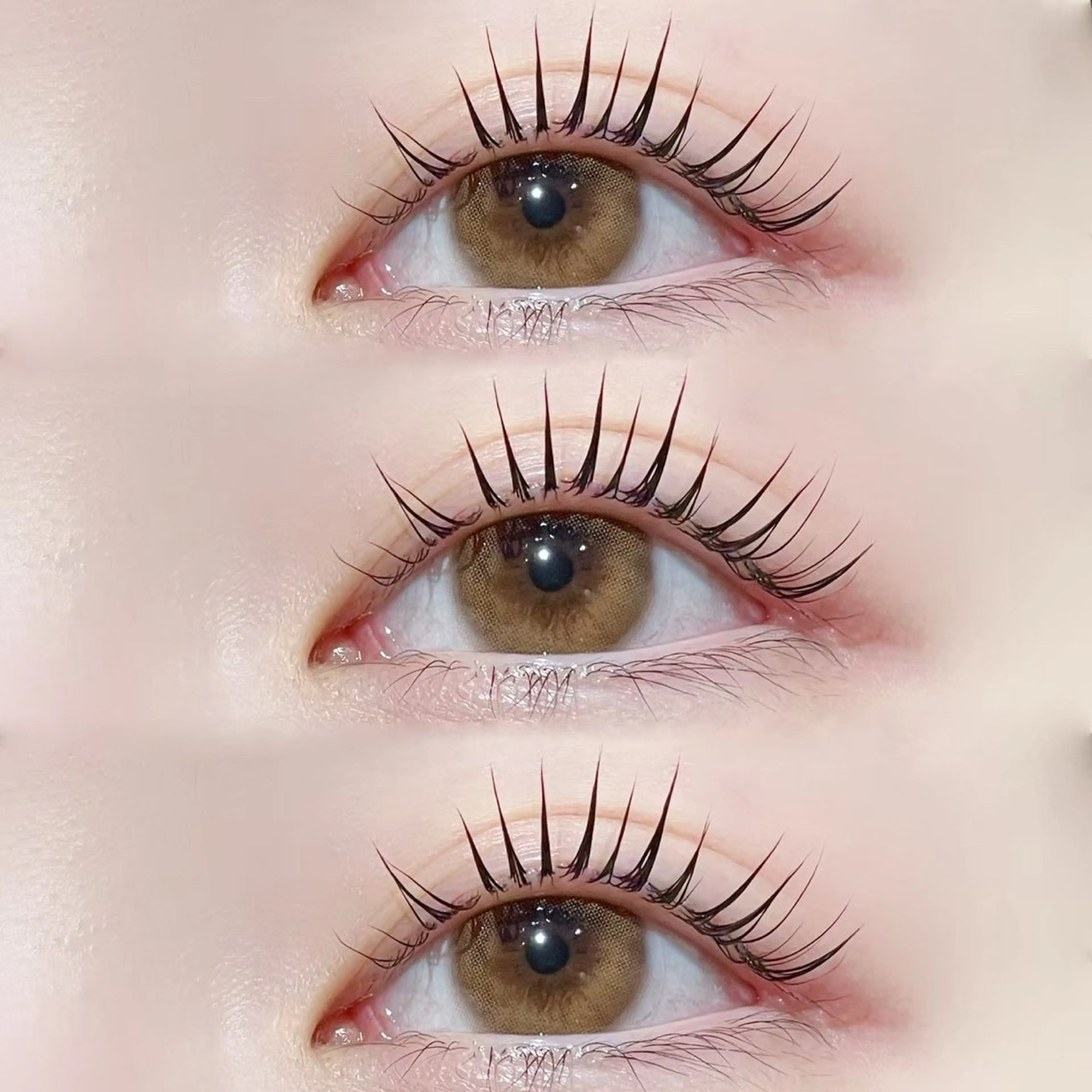 【12月限定クーポン】人気No.1🤍パリジェンヌ＋束間コーティング仕上げ💋の写真