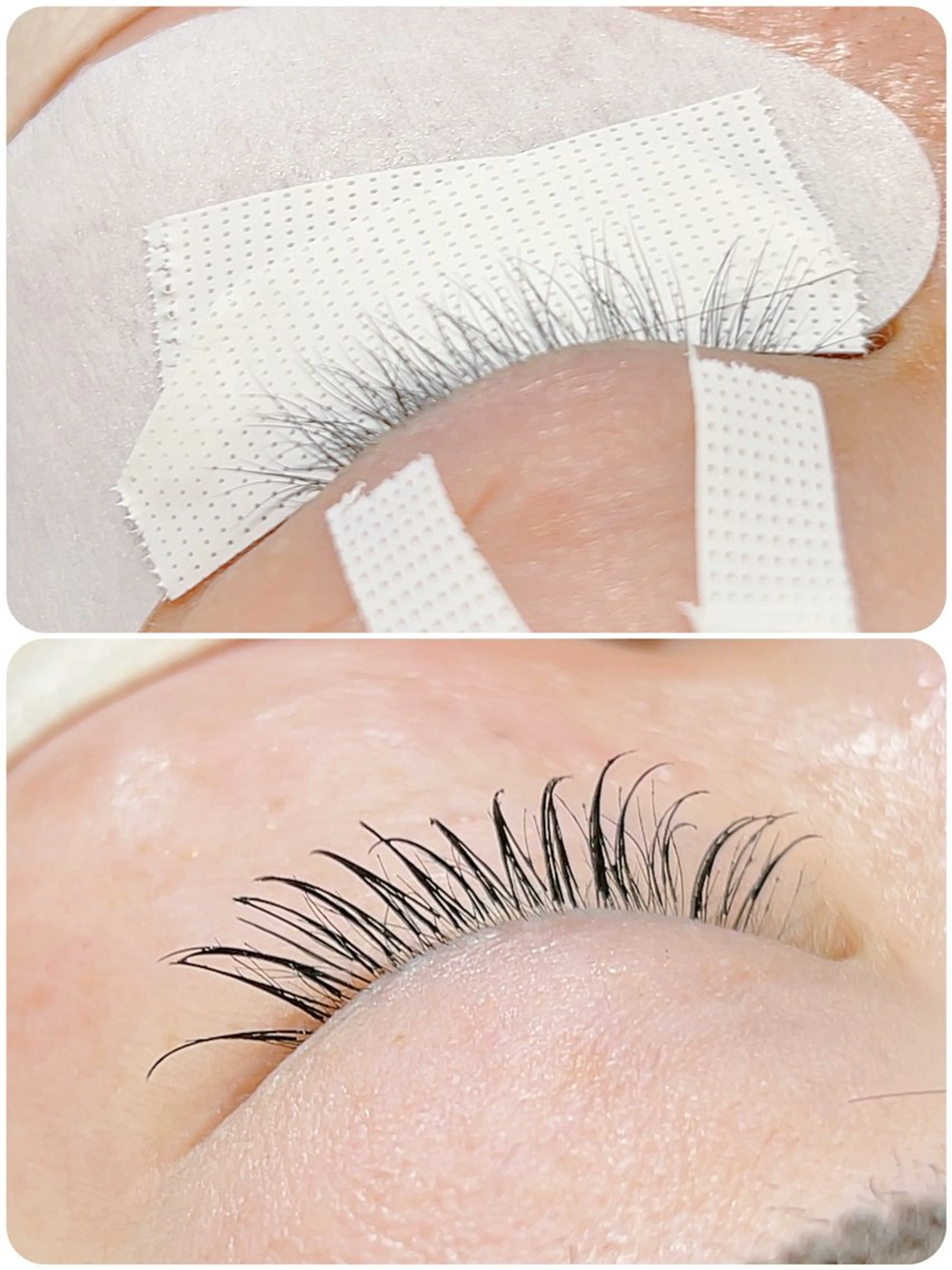 マツエク・マツパ Dacha まつ毛屋さんのマツエク・マツパデザイン