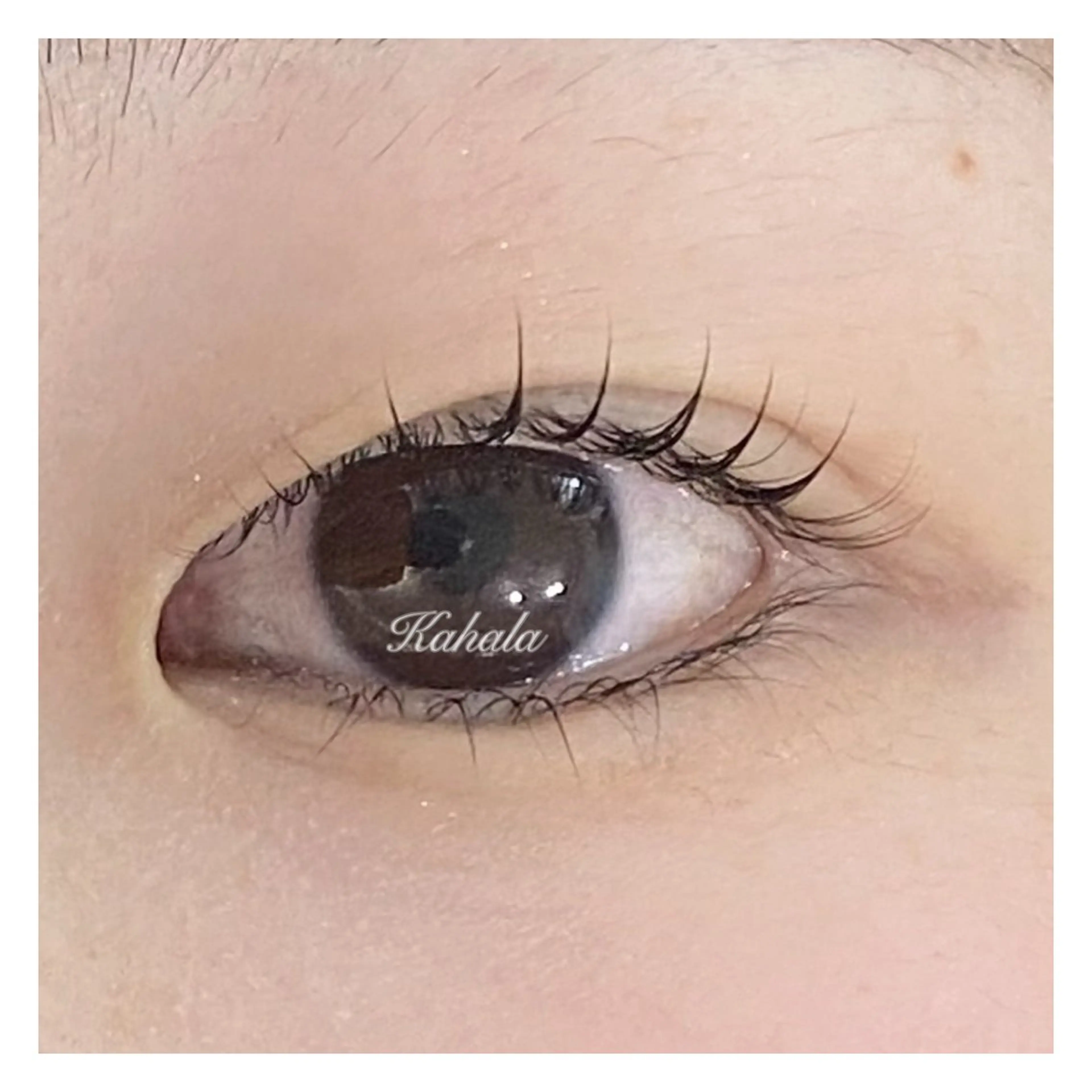 マツエク・マツパ 眼科監修まつ毛エクステ専門店　アイラッシュリゾート　カハラ　新宿店所属・🥞ツノダ eyelash🧸のマツエク・マツパデザイン