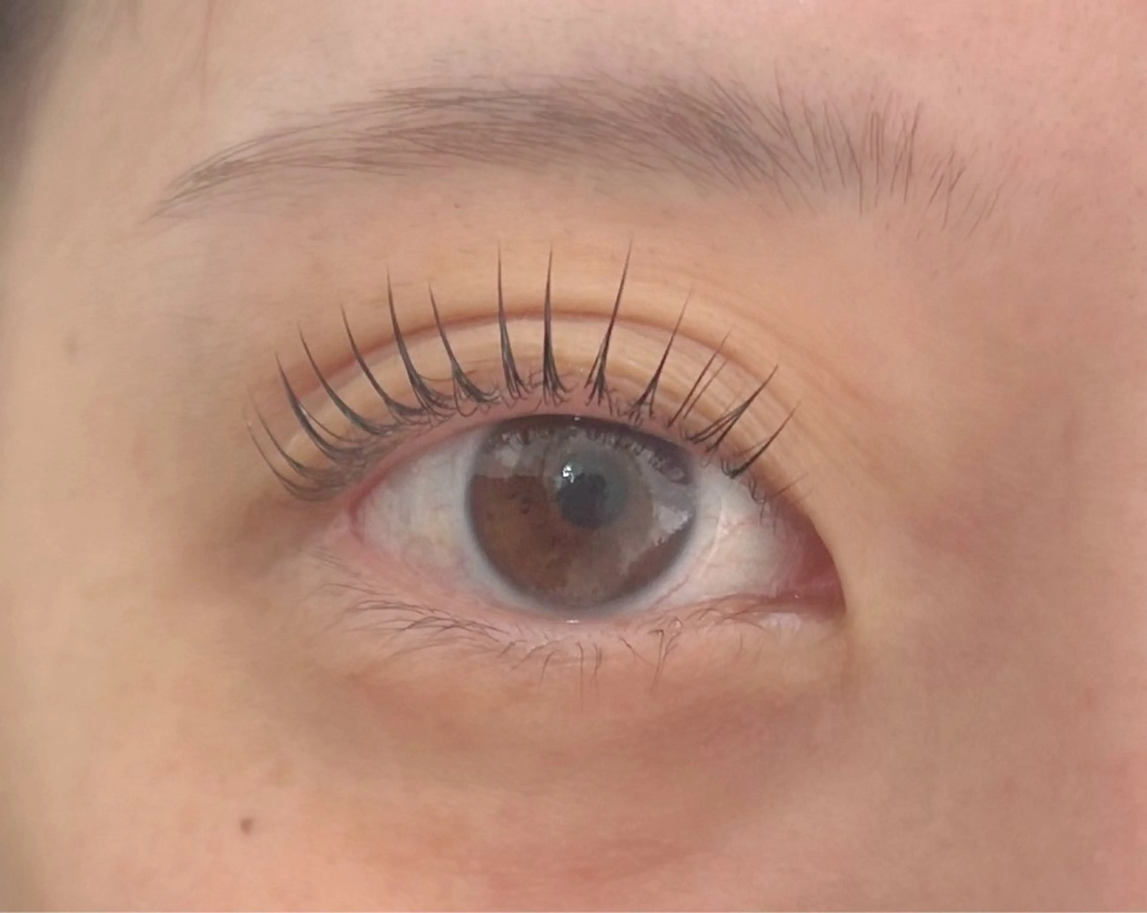 マツエク・マツパ パリジェンヌラッシュリフト alice tokyo伊藤★のマツエク・マツパデザイン