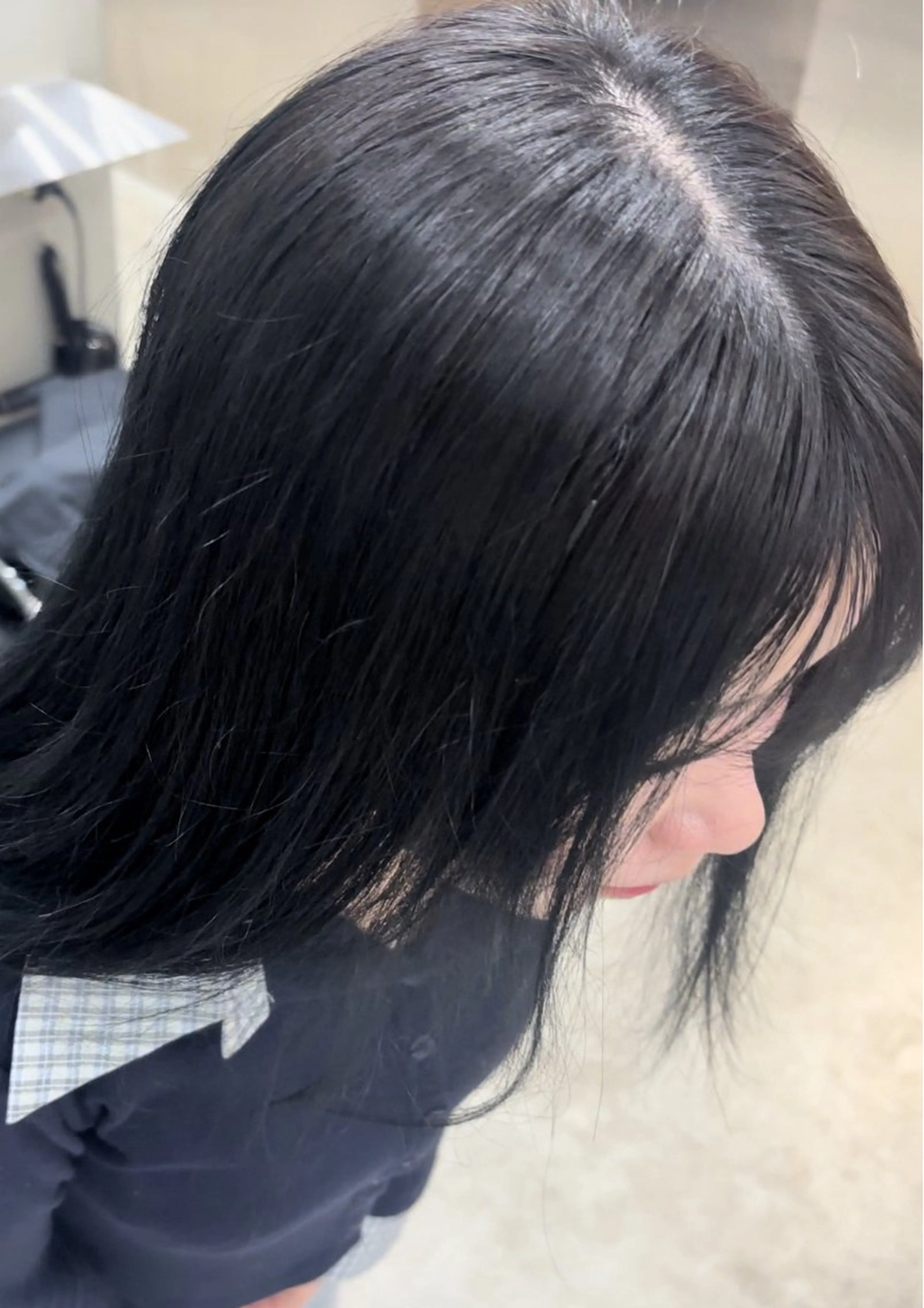 ワンカラーの写真