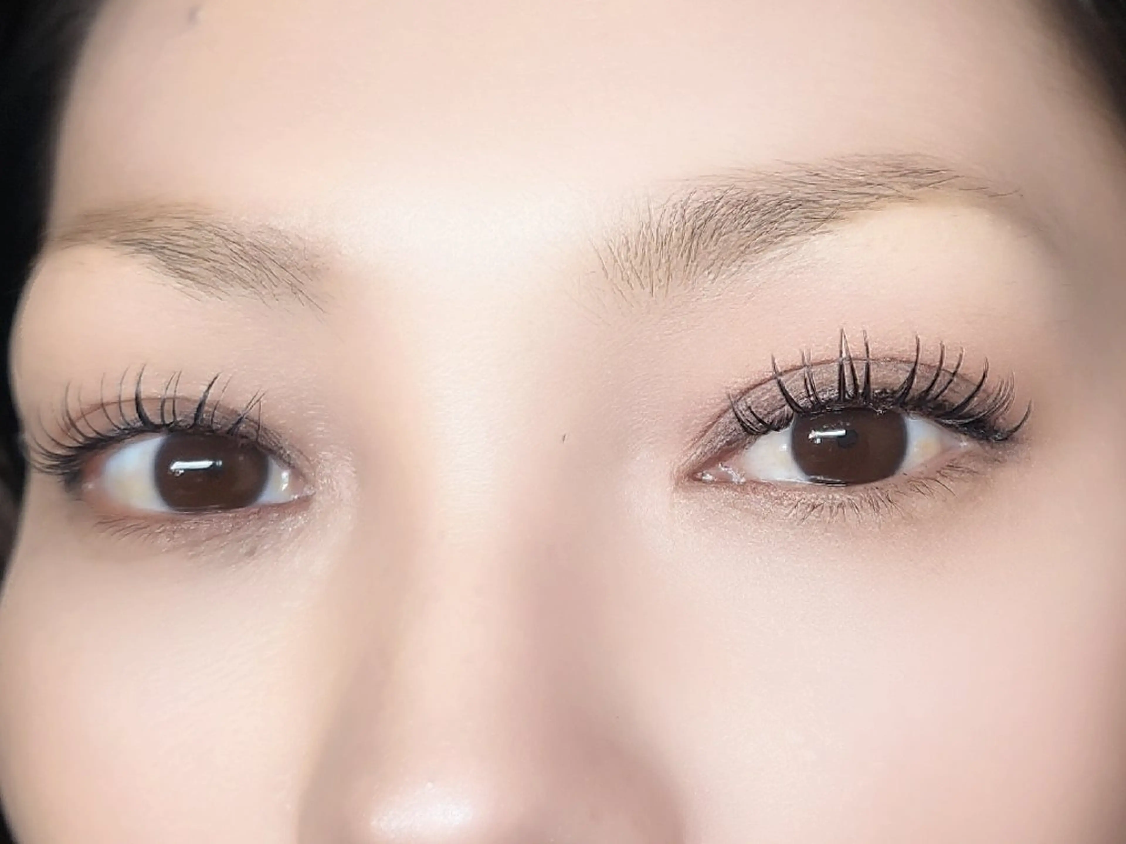 マツエク・マツパ Dカール フラットラッシュ 一重×まつ毛パーマ マツエク アイラッシュ コペル【Copel】所属・個室サロンcopel 　kishimotoのマツエク・マツパデザイン