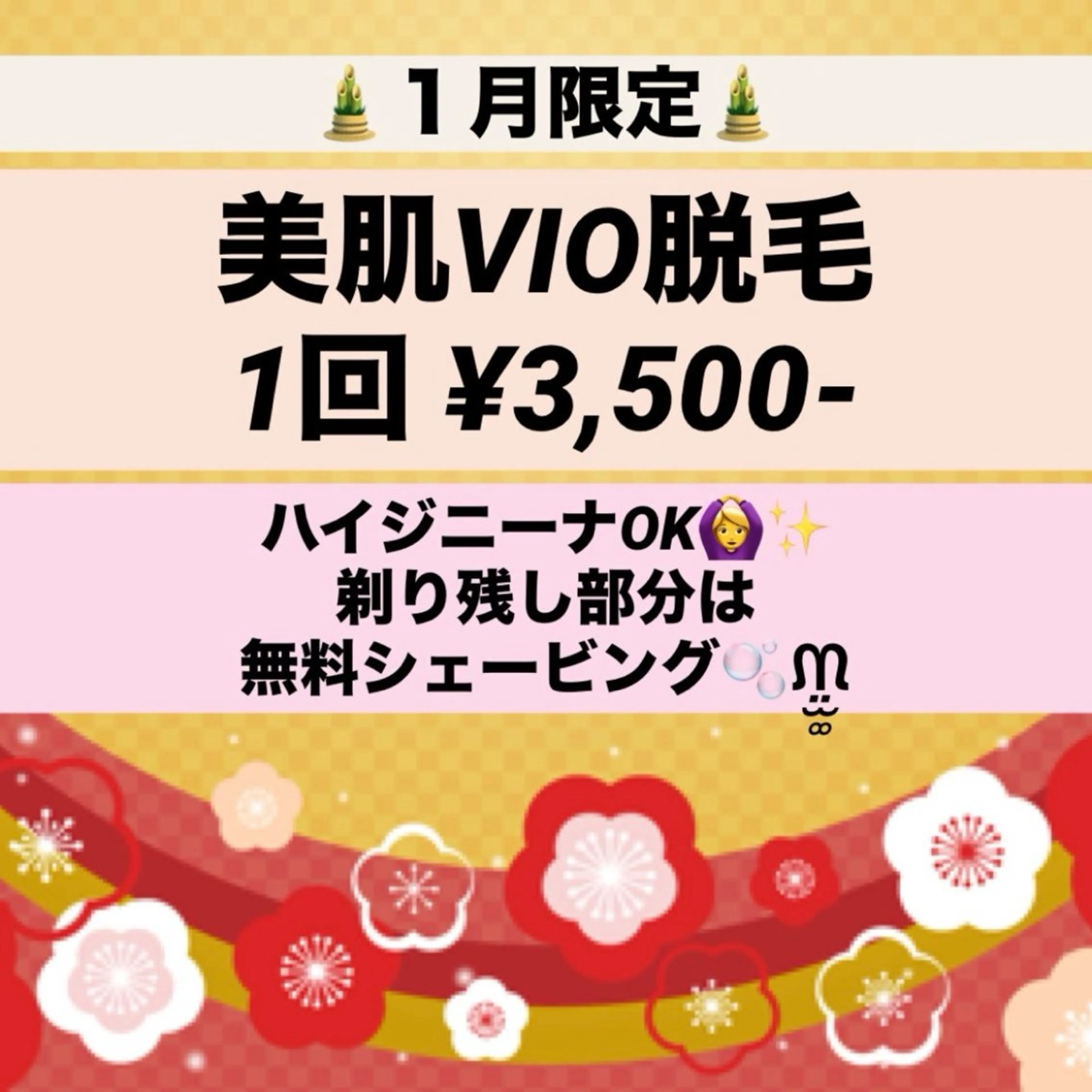 ✨スタッフおすすめ✨VIO脱毛(ハイジニーナOK)🌷痛くない脱毛😊シェービング無料サービス実施中💐の写真