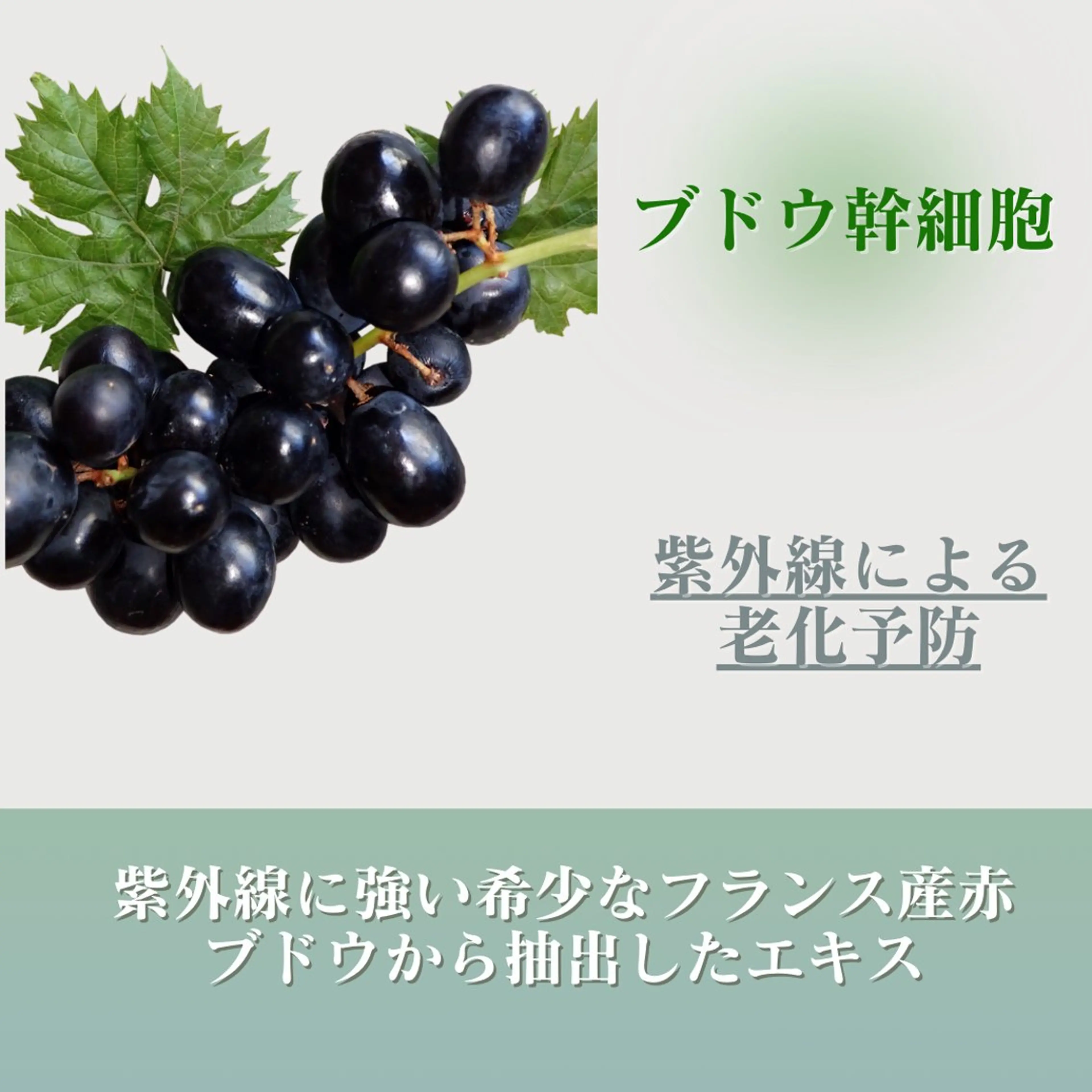 潤い艶肌／肌質改善 YUKAのエステ・リラクイメージ