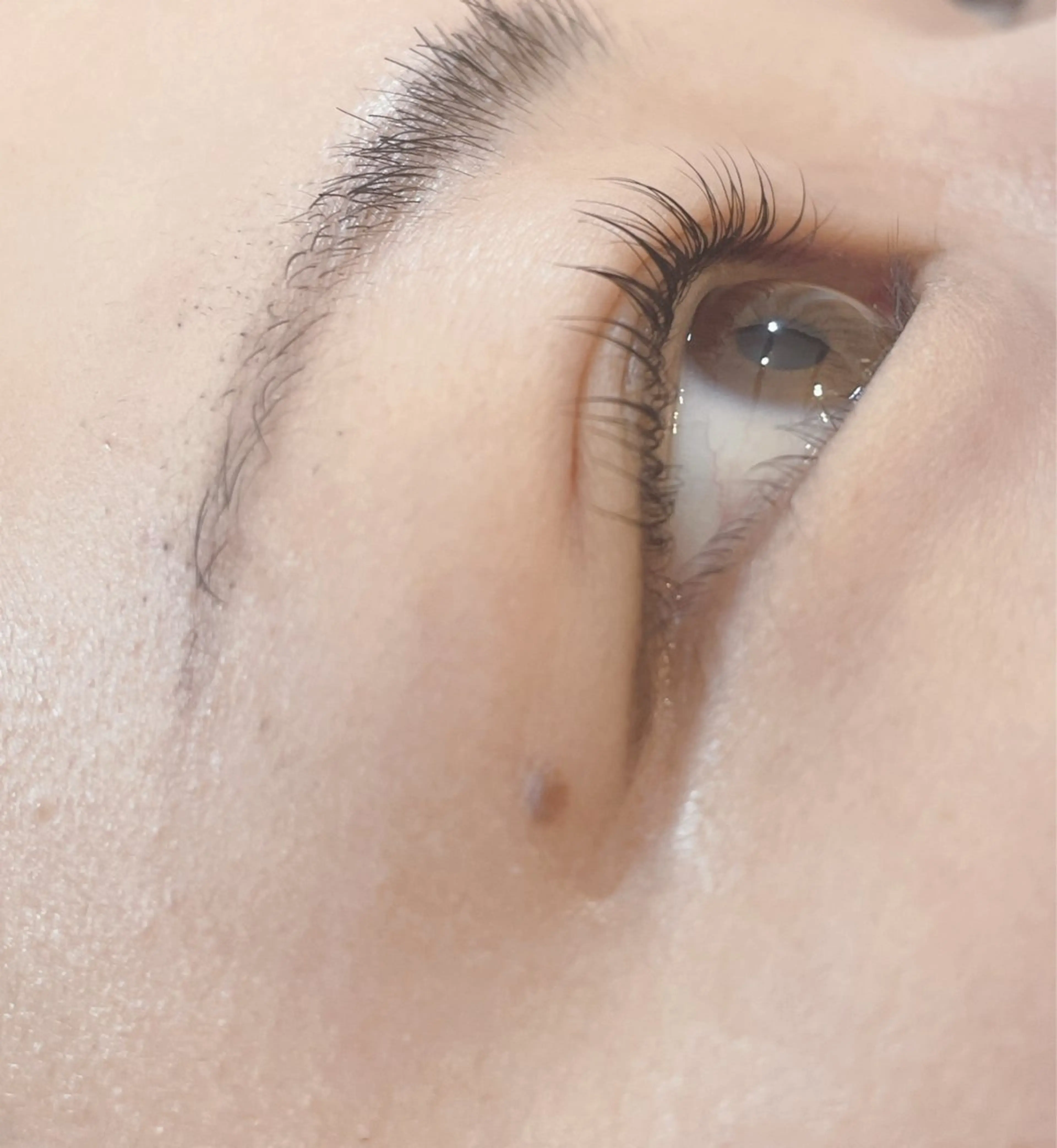 マツエク・マツパ パリジェンヌラッシュリフト Lokelani HAYASHIのマツエク・マツパデザイン