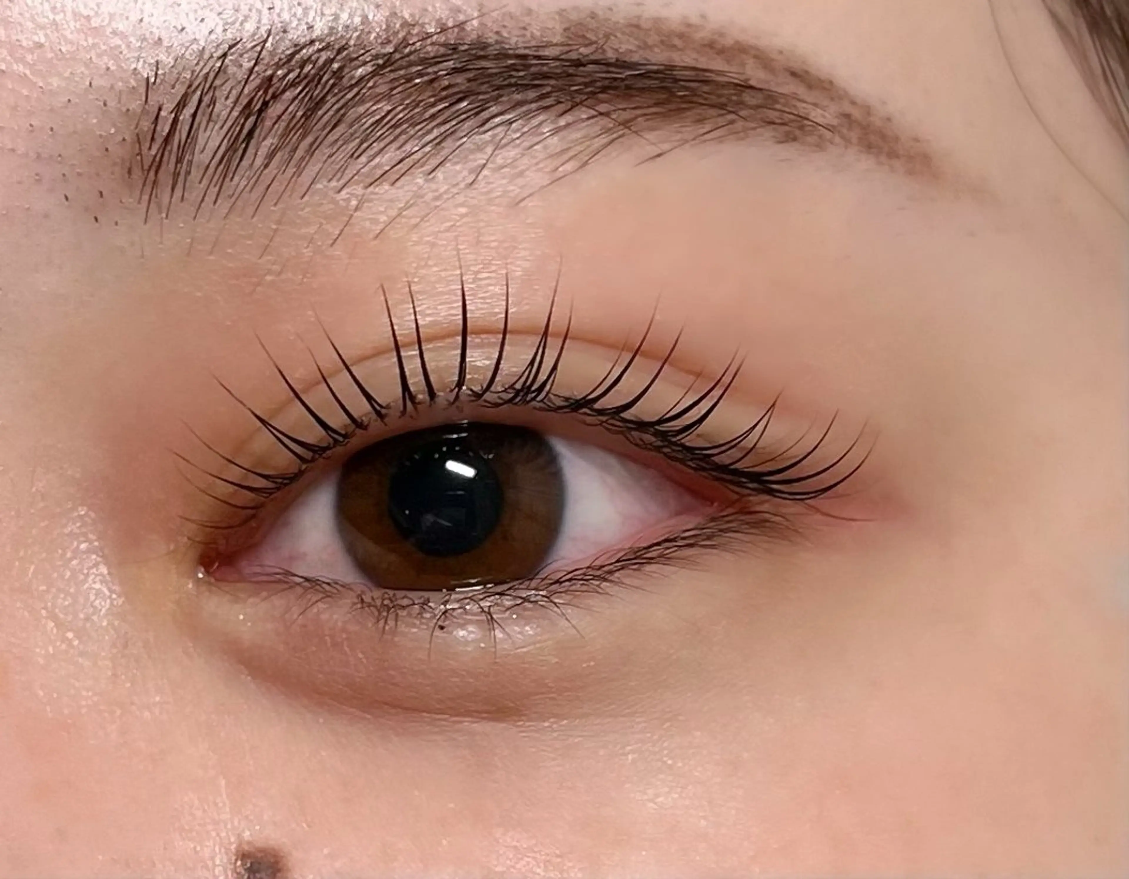 次世代パーマラッシュリフト(上)の写真