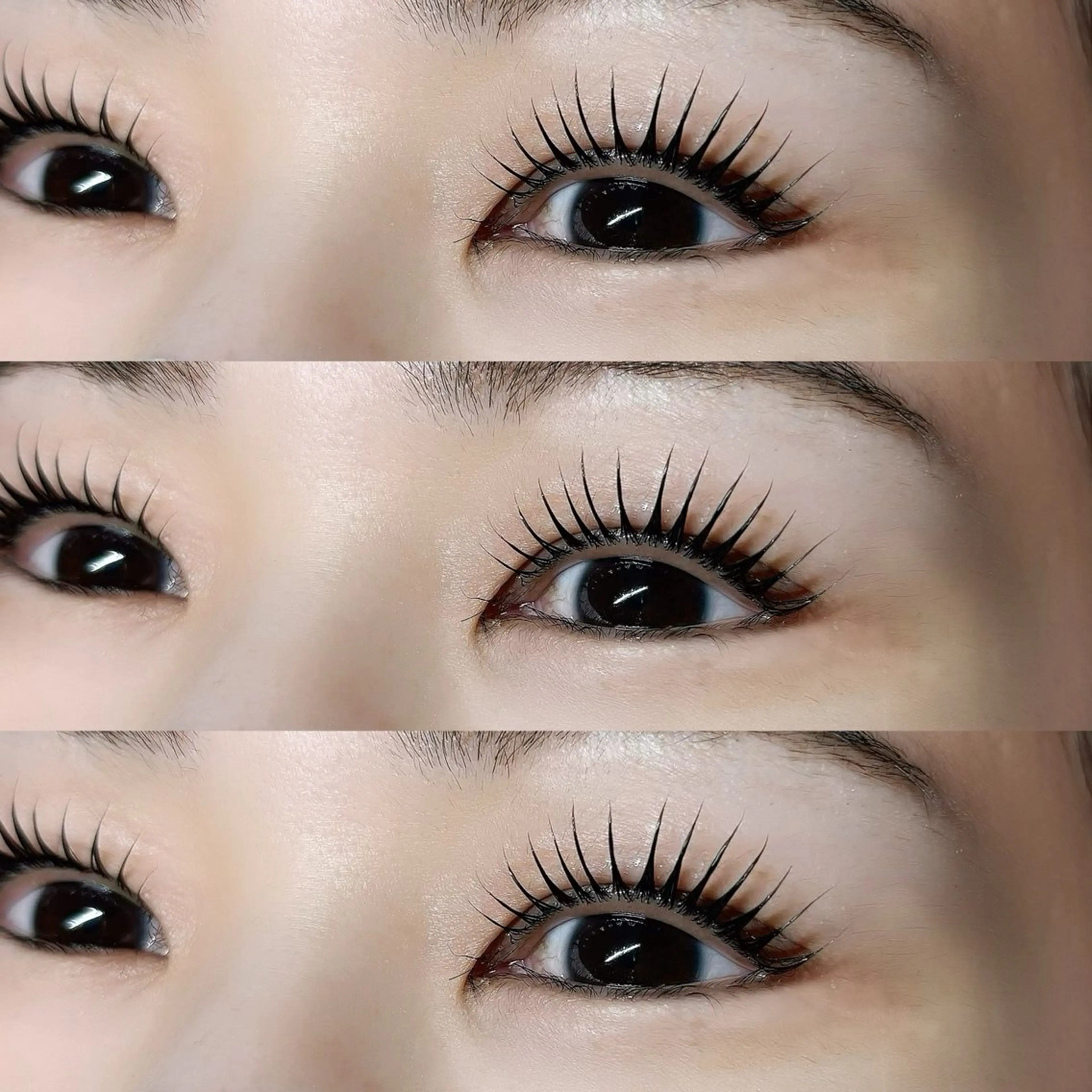 🎀限定クーポン🎀ラッシュリフト 上下セットメニューの写真