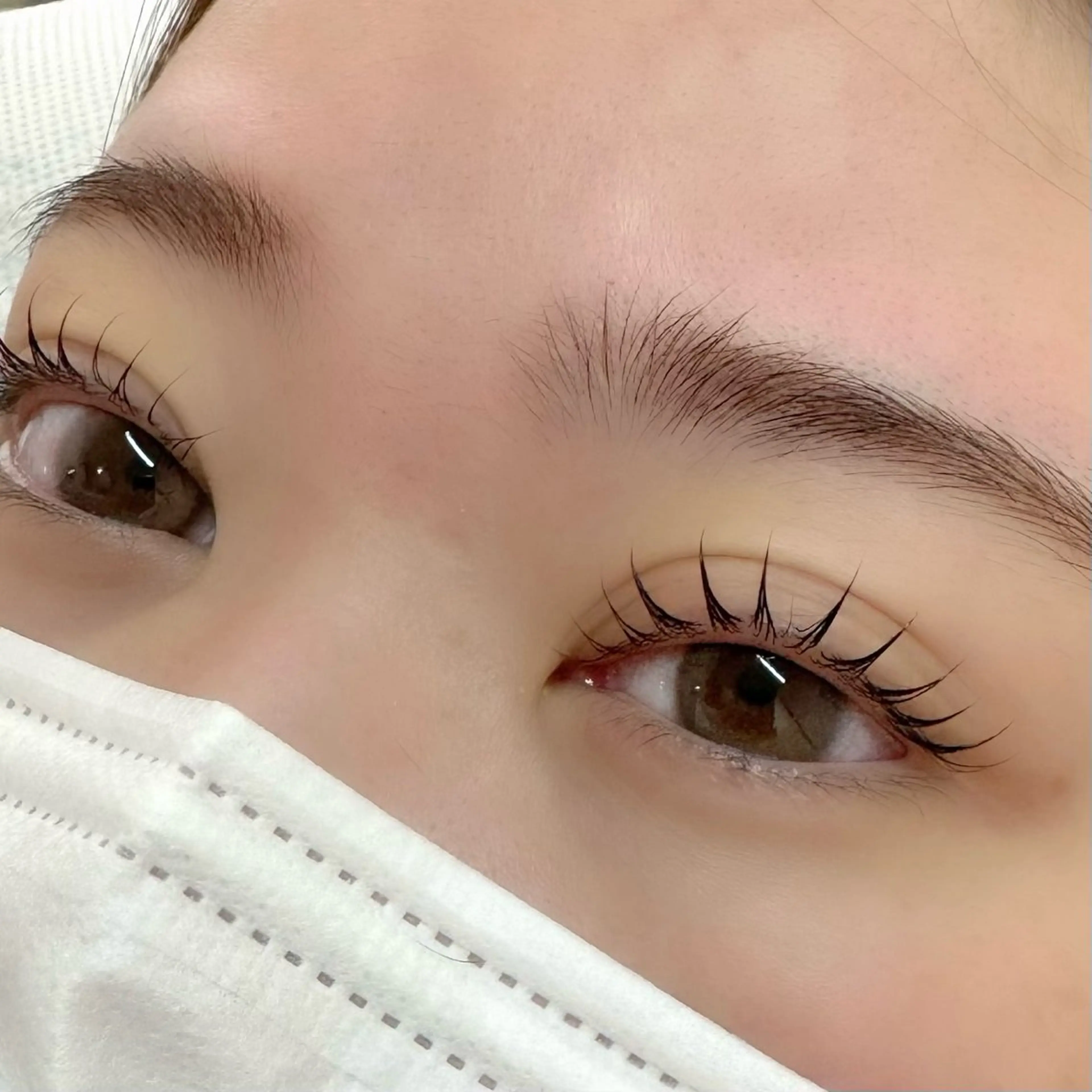 【ご来店3回目まで】🦇マスカラパーマ🦇（トリートメント＋ティント）の写真