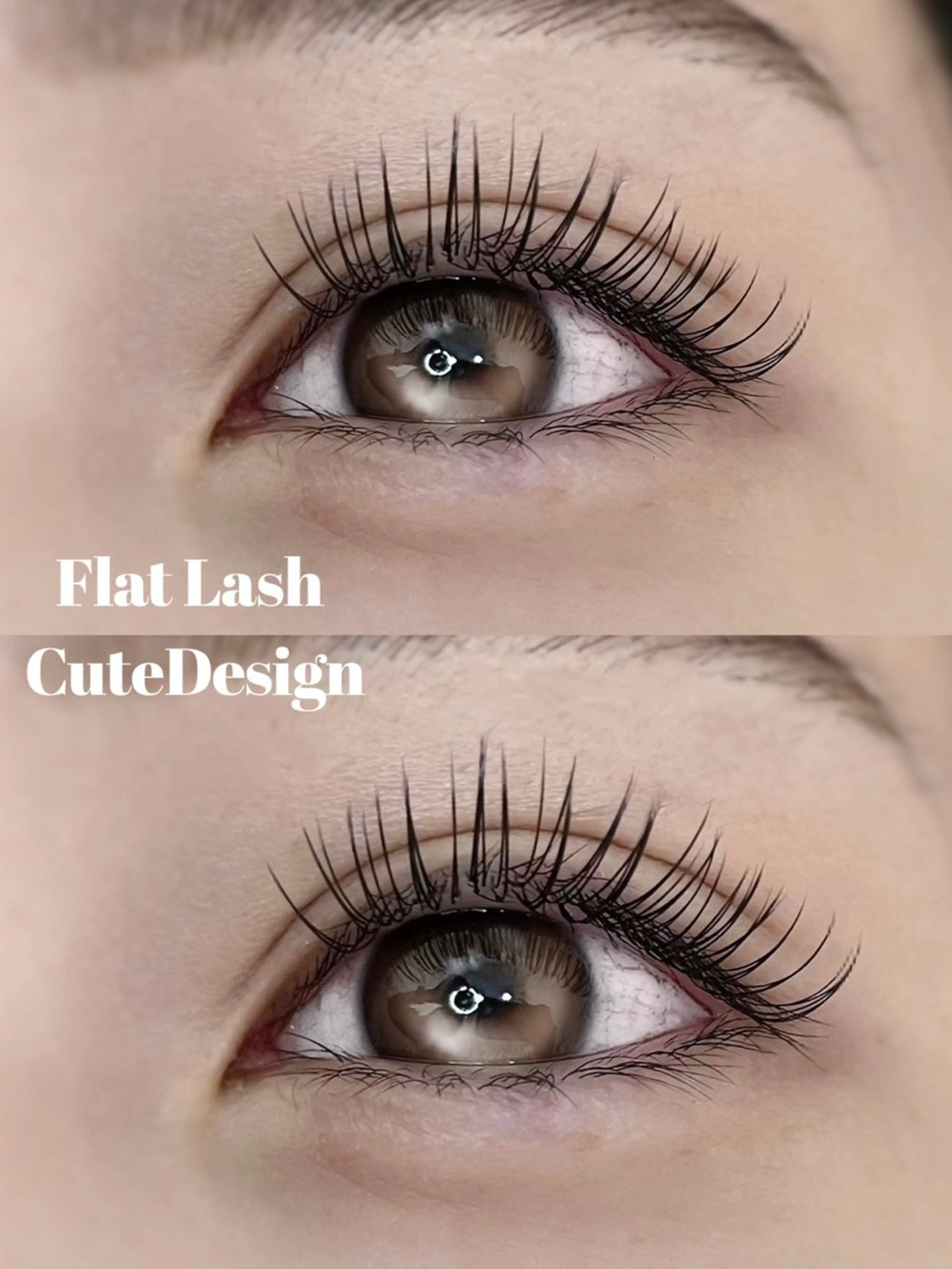 ダブルフラットラッシュ40~50束(80~100本)の写真