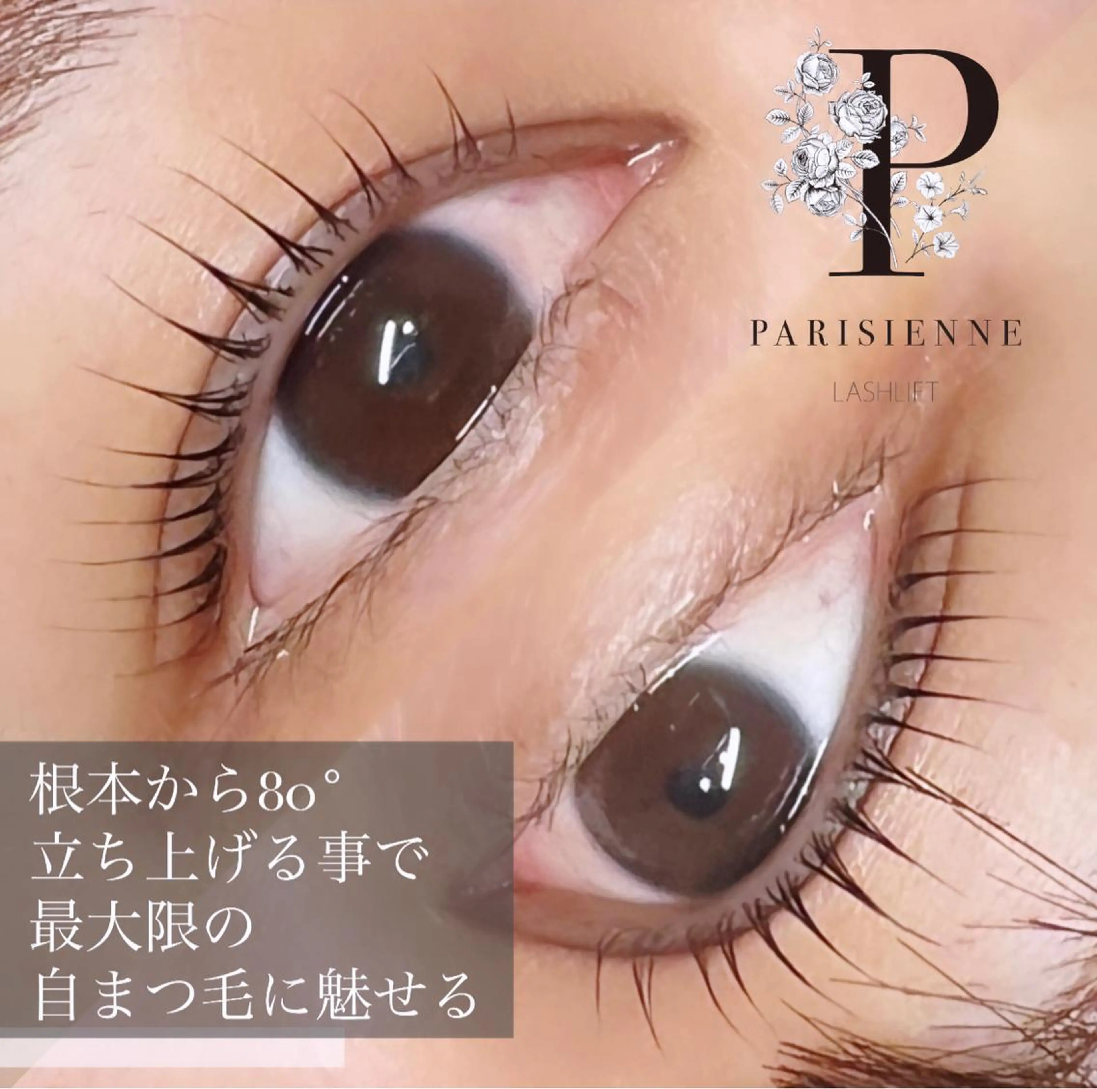 マツエク・マツパ パリジェンヌラッシュリフト sol ayumiのマツエク・マツパデザイン