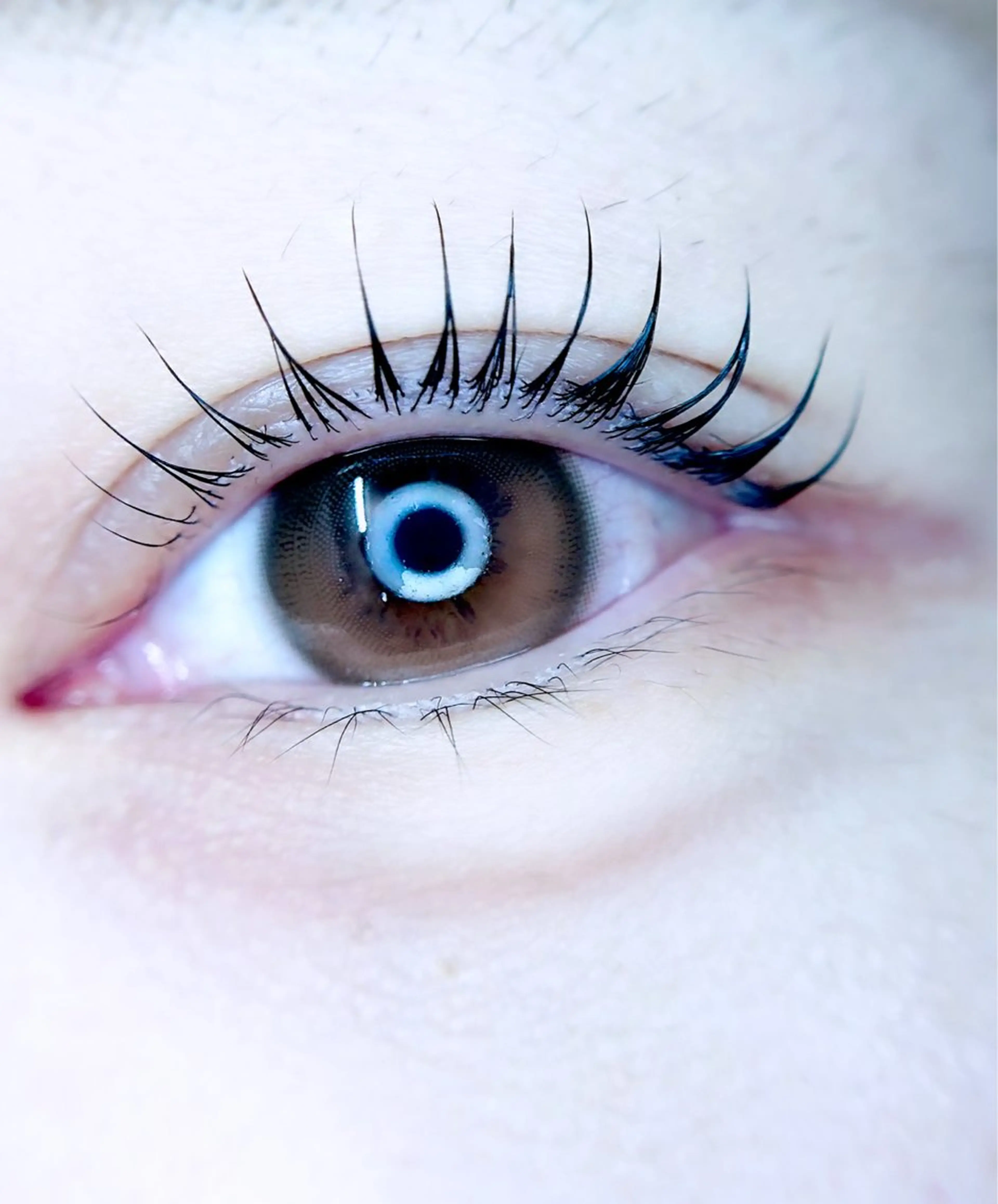 マツエク・マツパ マツパ eyelist. mizuki🐈‍⬛の眉毛・アイブロウイメージ