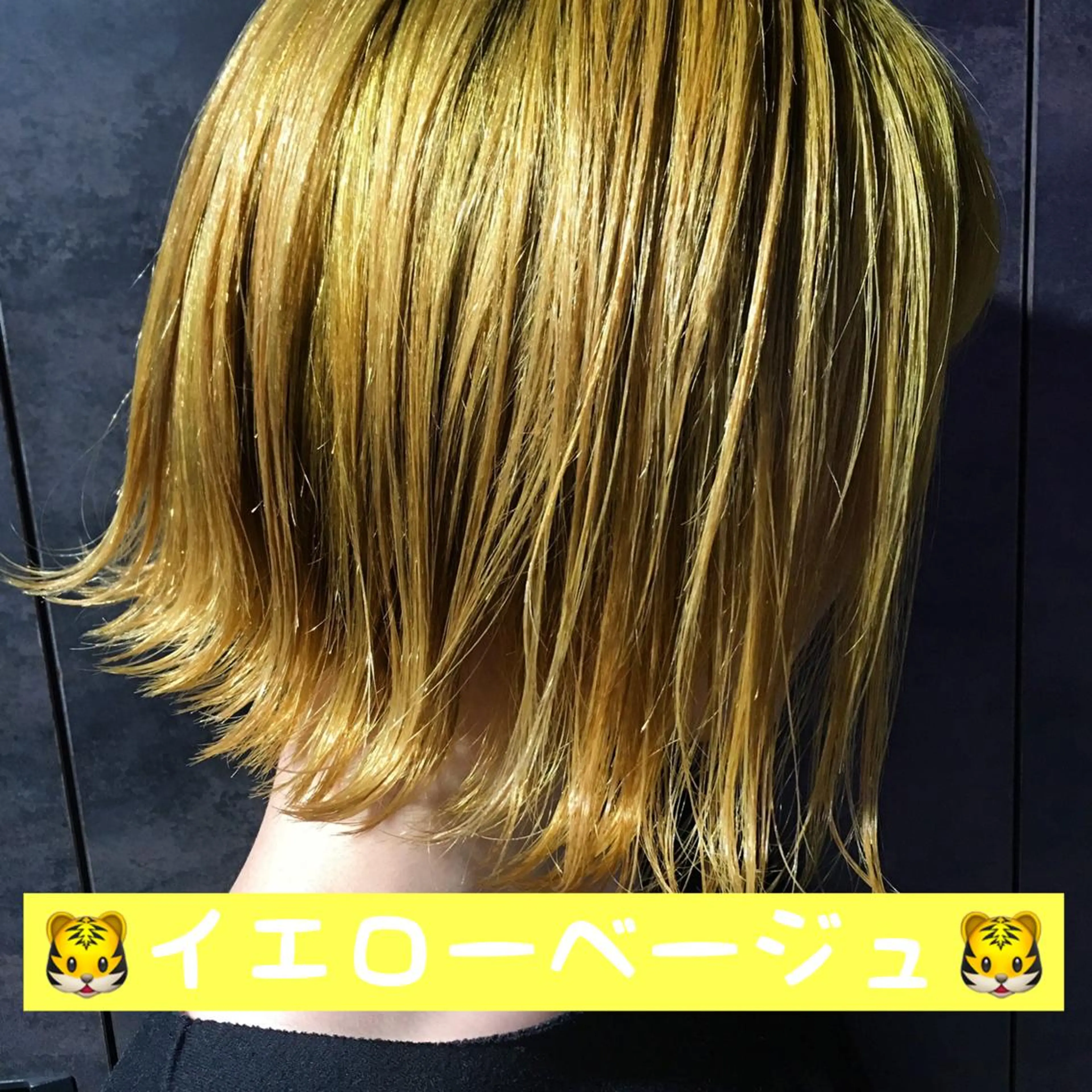 ミディアム カラー M.O.D渋谷所属・🫧渋谷美容師 たくみ🫧のヘアスタイル